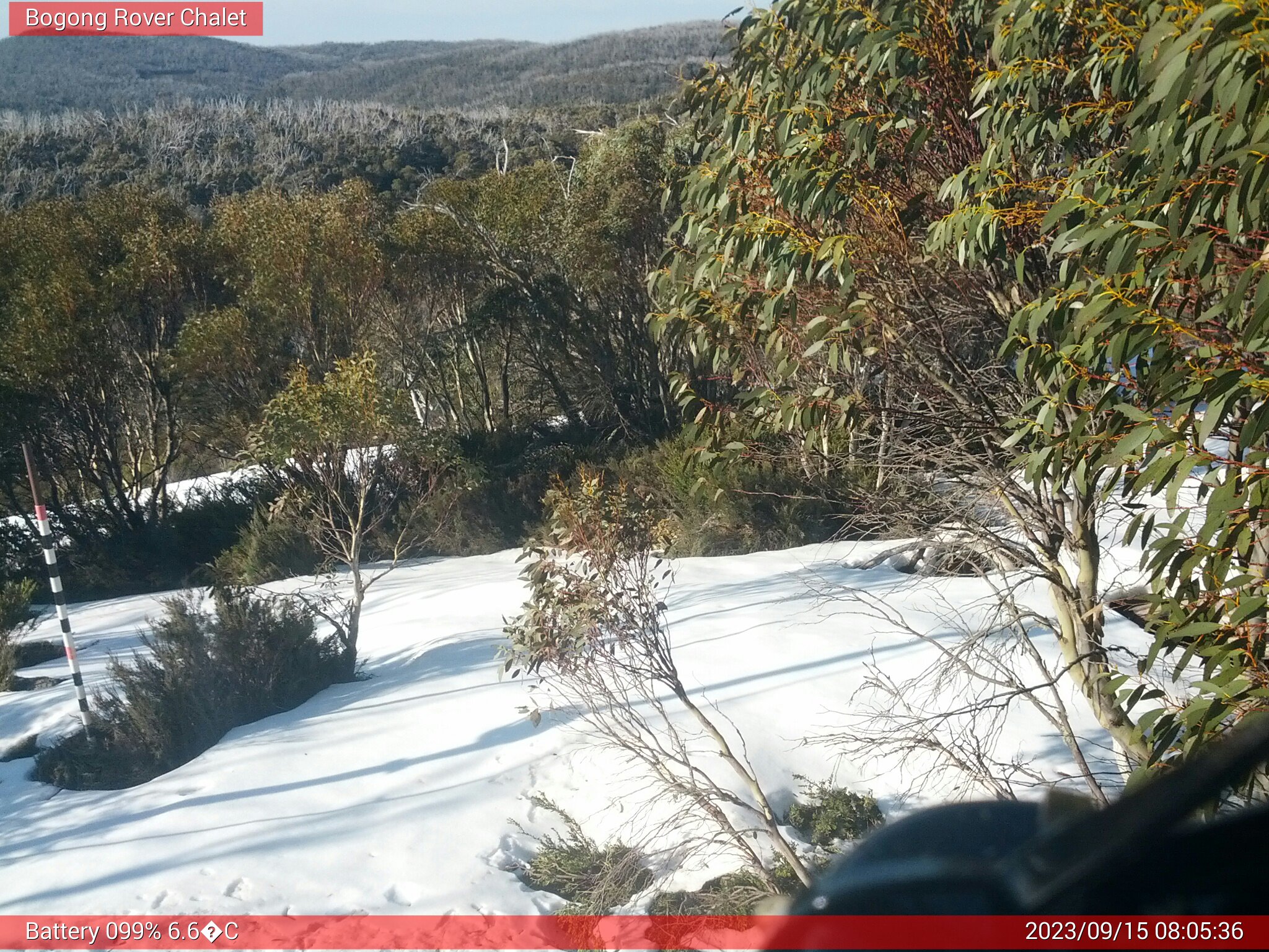 Bogong Web Cam 8:05am Friday 15th of September 2023