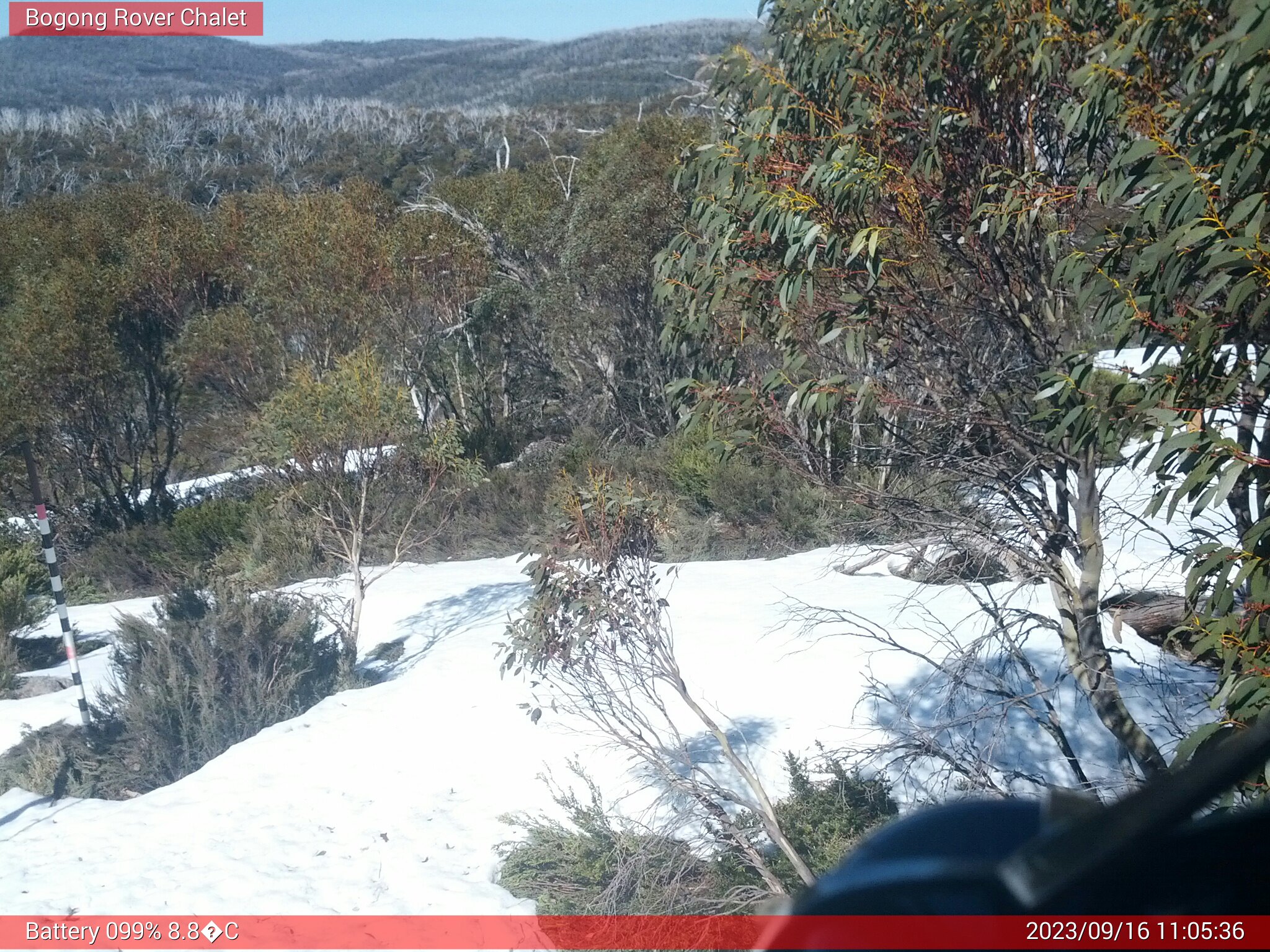 Bogong Web Cam 11:05am Saturday 16th of September 2023