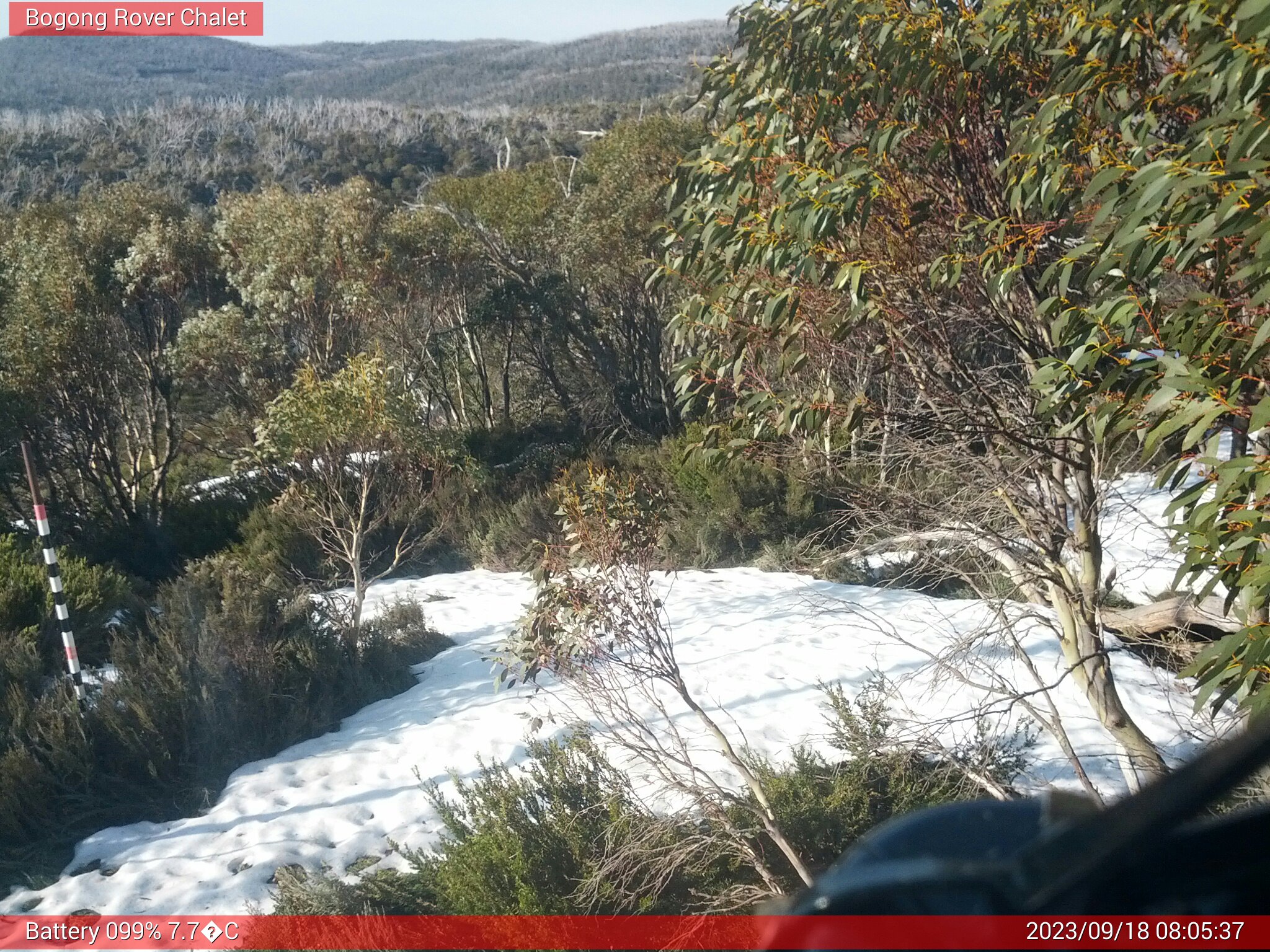 Bogong Web Cam 8:05am Monday 18th of September 2023