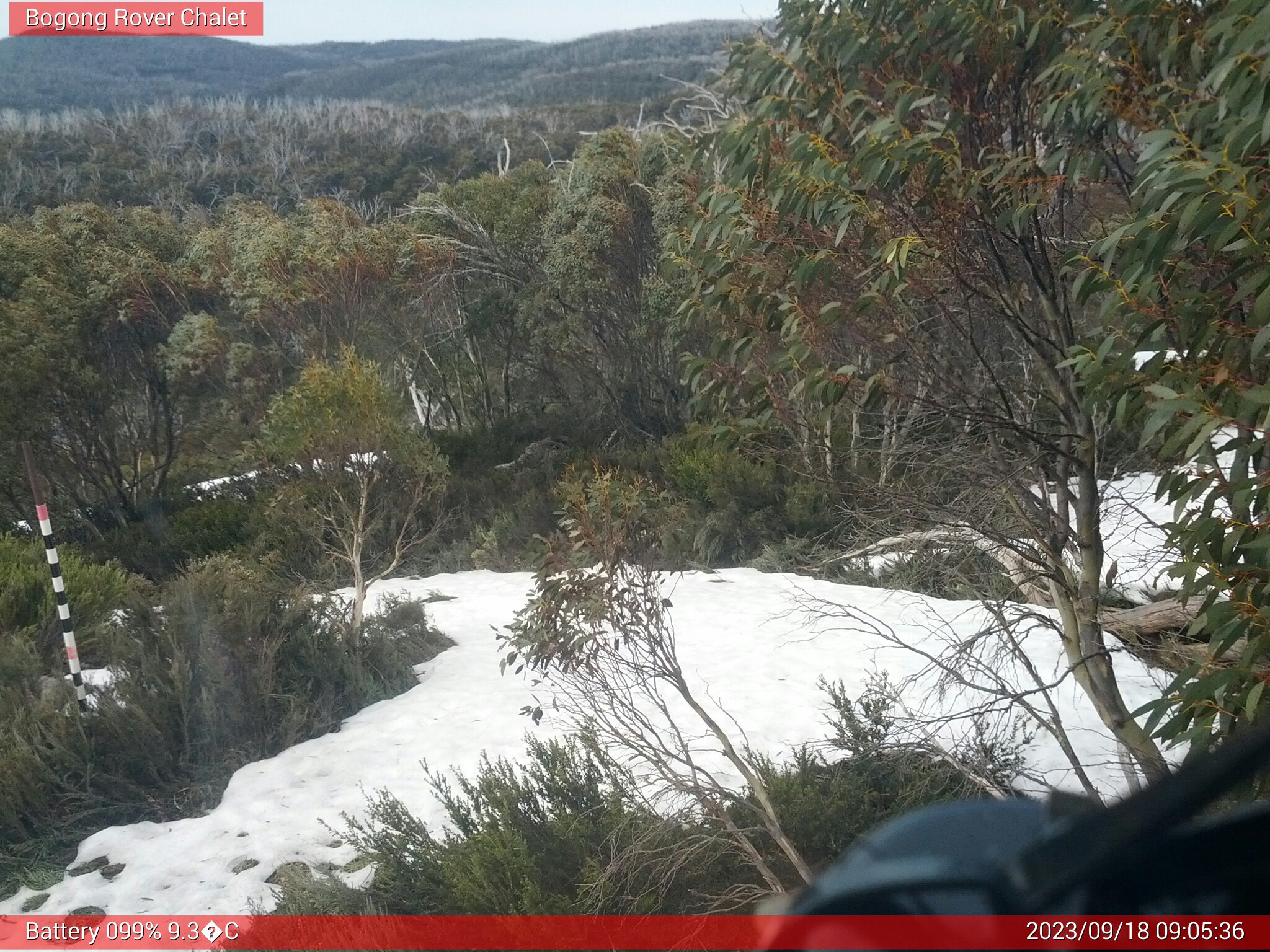 Bogong Web Cam 9:05am Monday 18th of September 2023