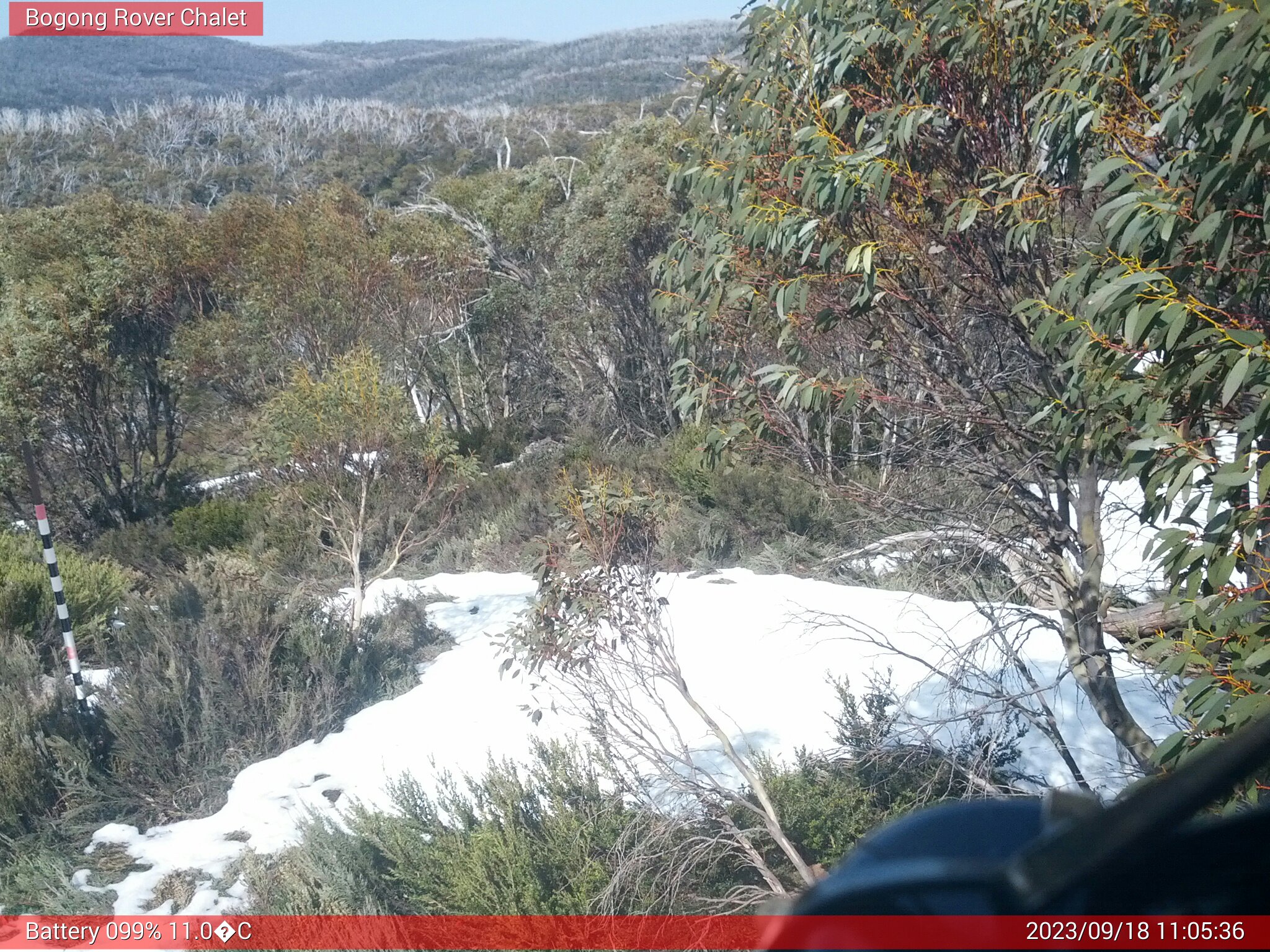 Bogong Web Cam 11:05am Monday 18th of September 2023