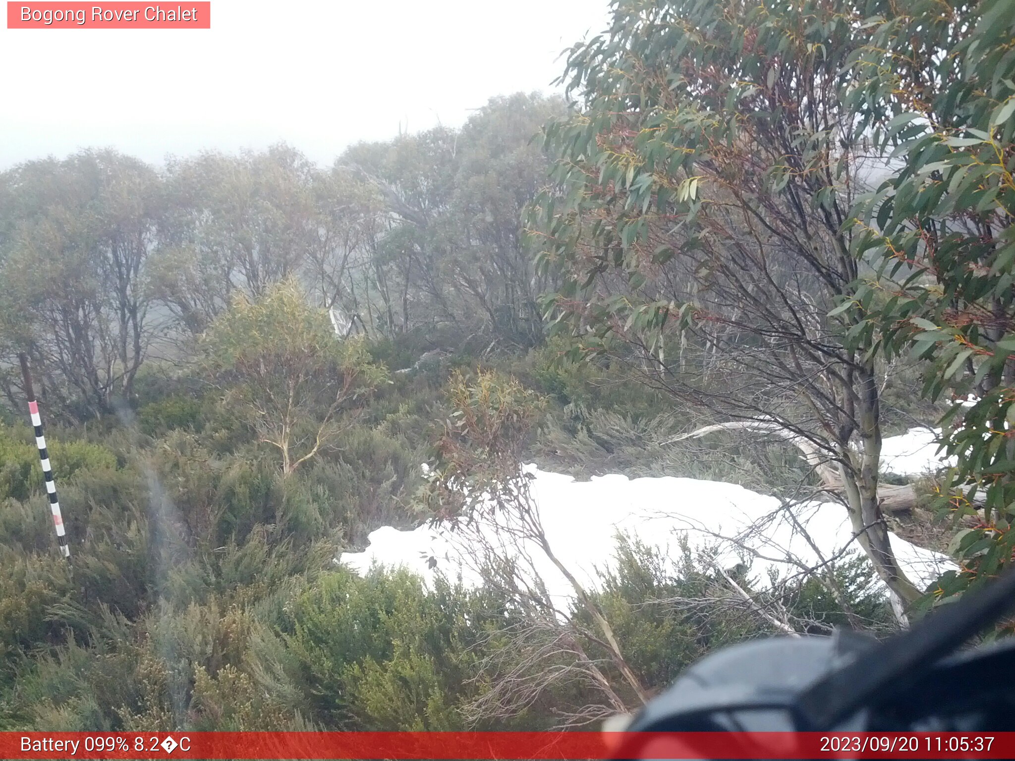 Bogong Web Cam 11:05am Wednesday 20th of September 2023