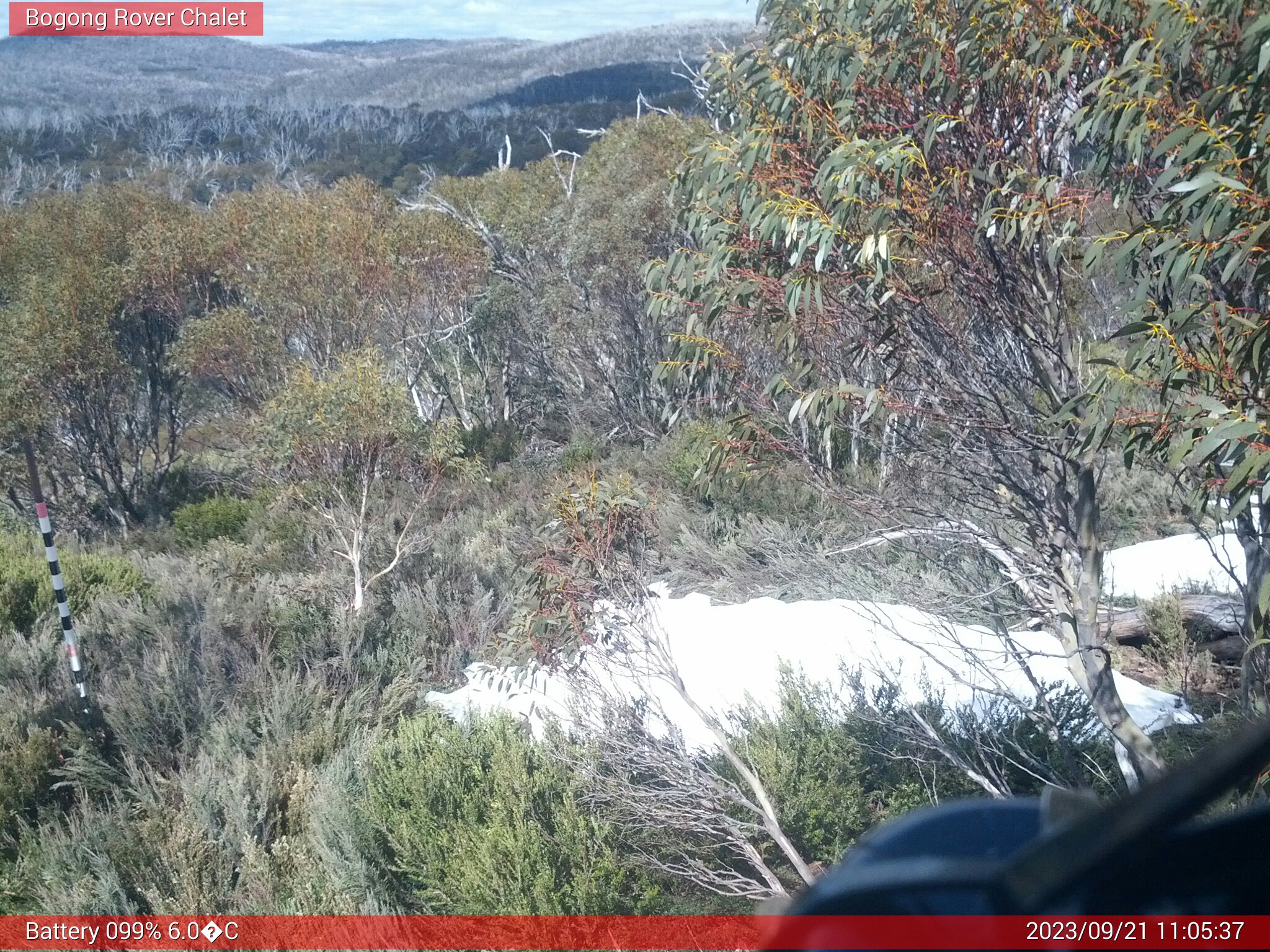 Bogong Web Cam 11:05am Thursday 21st of September 2023