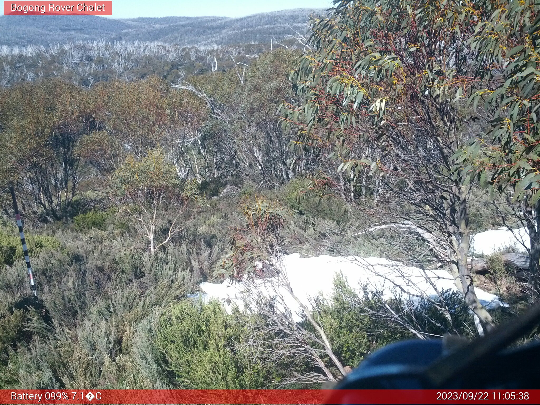 Bogong Web Cam 11:05am Friday 22nd of September 2023