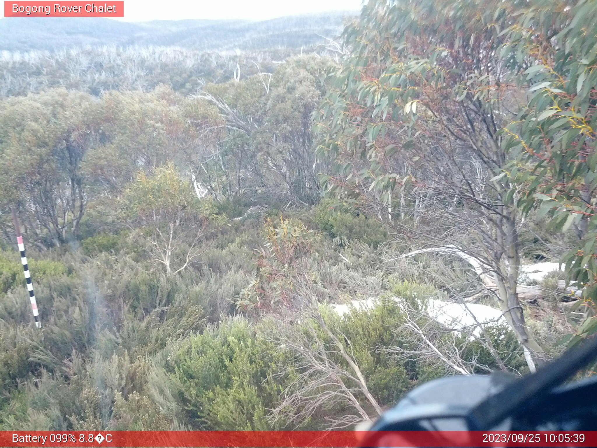 Bogong Web Cam 10:05am Monday 25th of September 2023