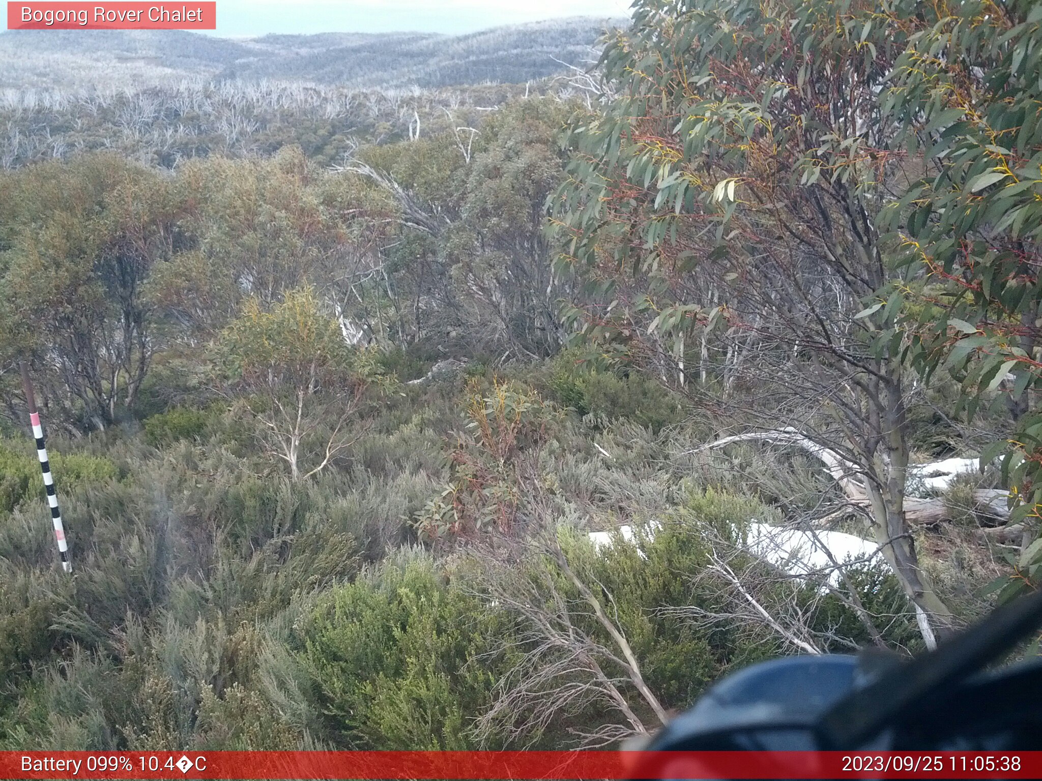 Bogong Web Cam 11:05am Monday 25th of September 2023