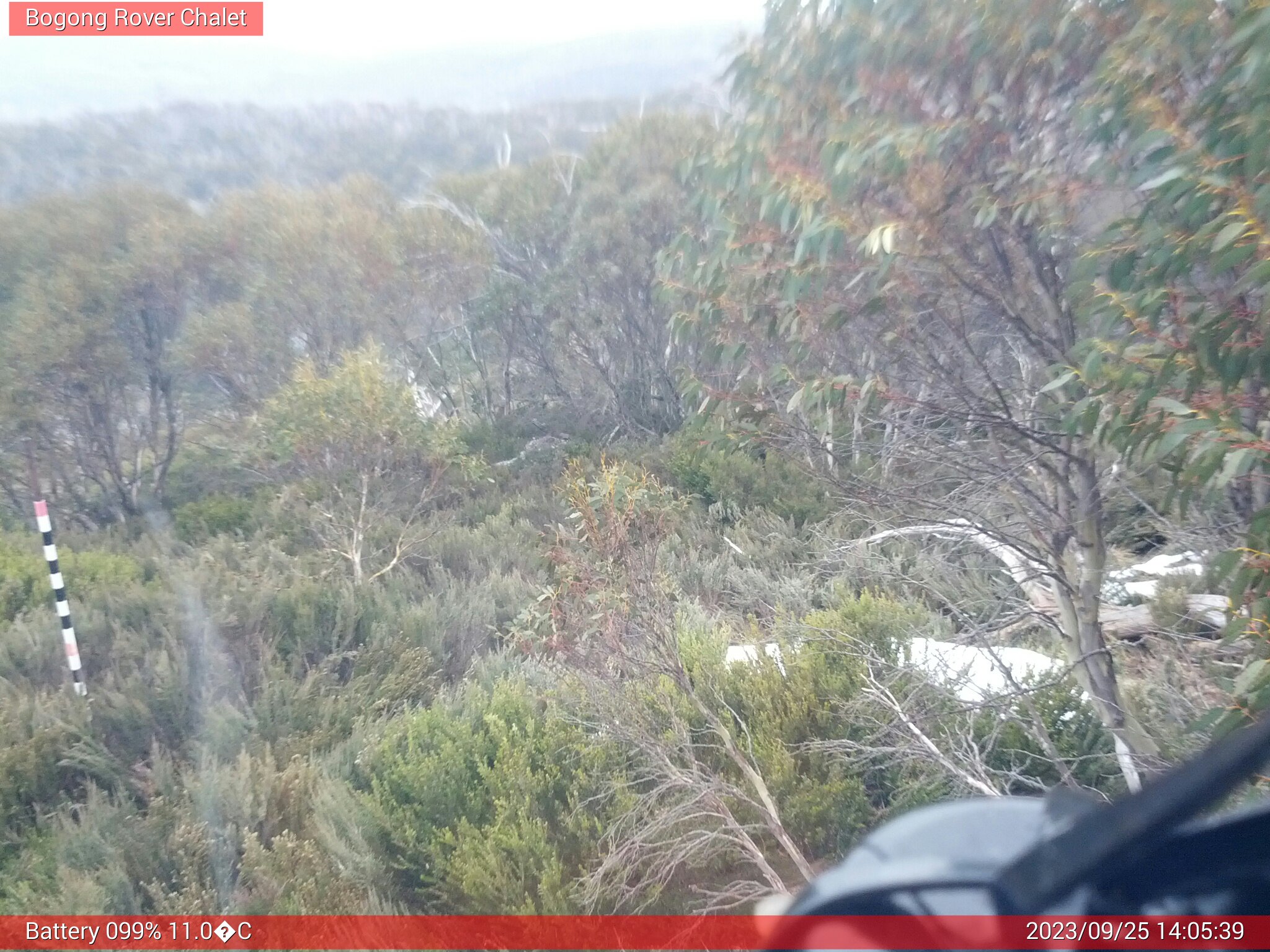 Bogong Web Cam 2:05pm Monday 25th of September 2023