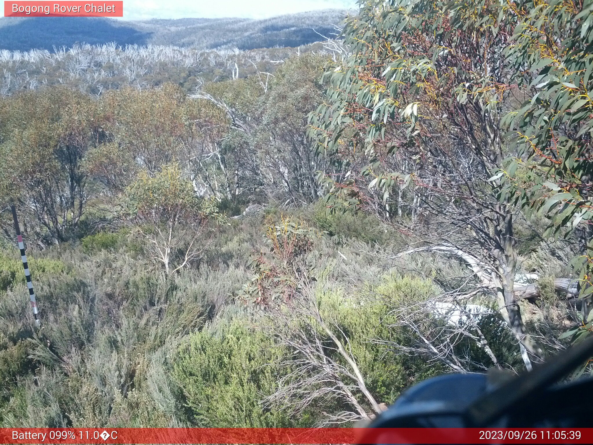 Bogong Web Cam 11:05am Tuesday 26th of September 2023