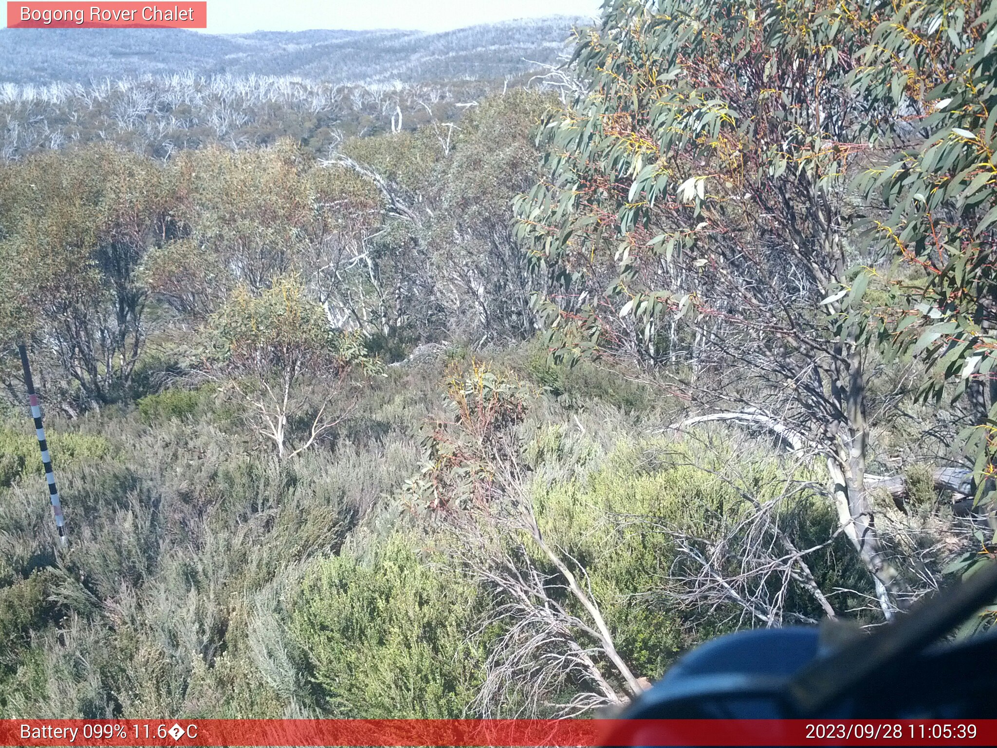 Bogong Web Cam 11:05am Thursday 28th of September 2023