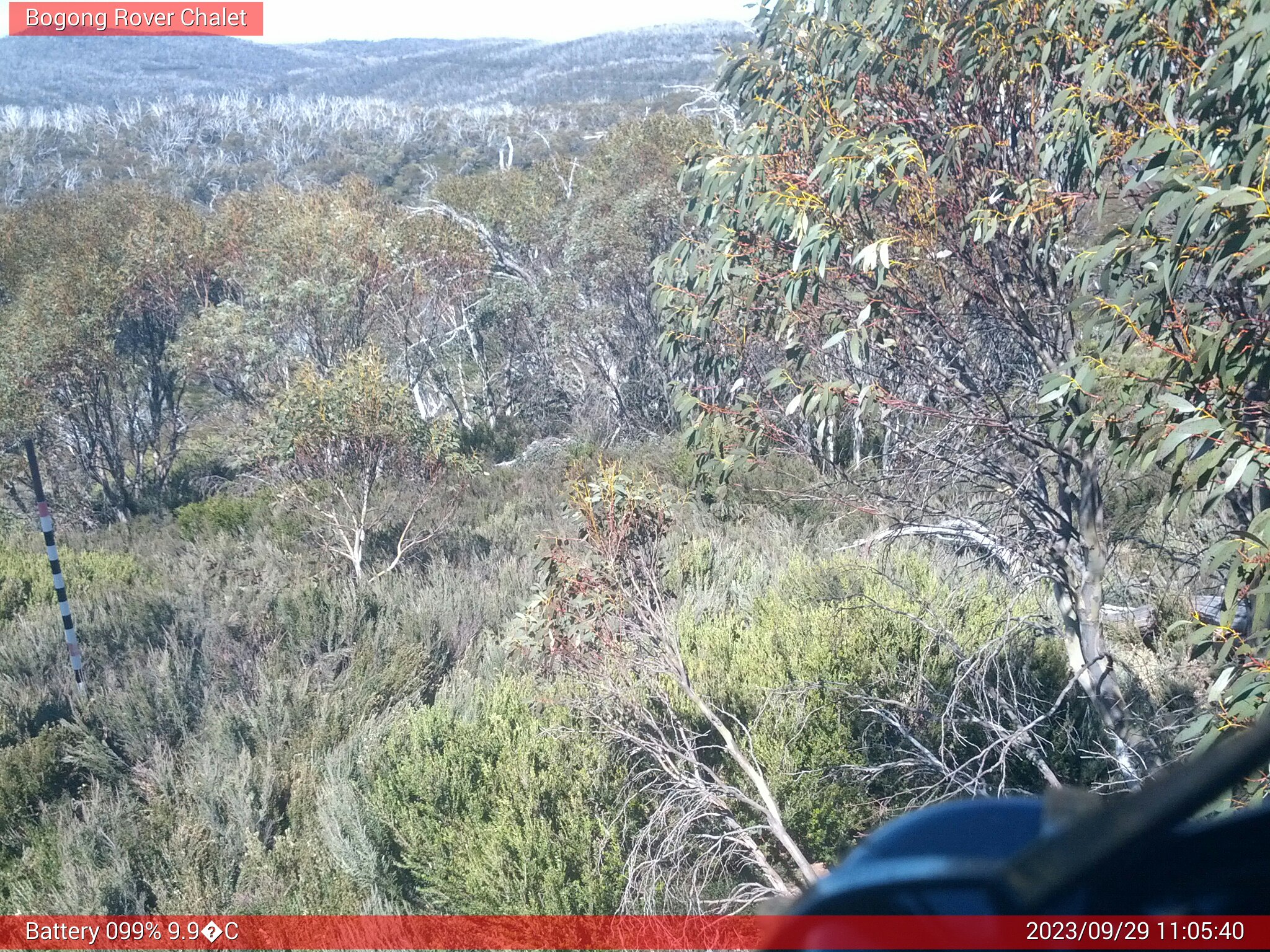 Bogong Web Cam 11:05am Friday 29th of September 2023