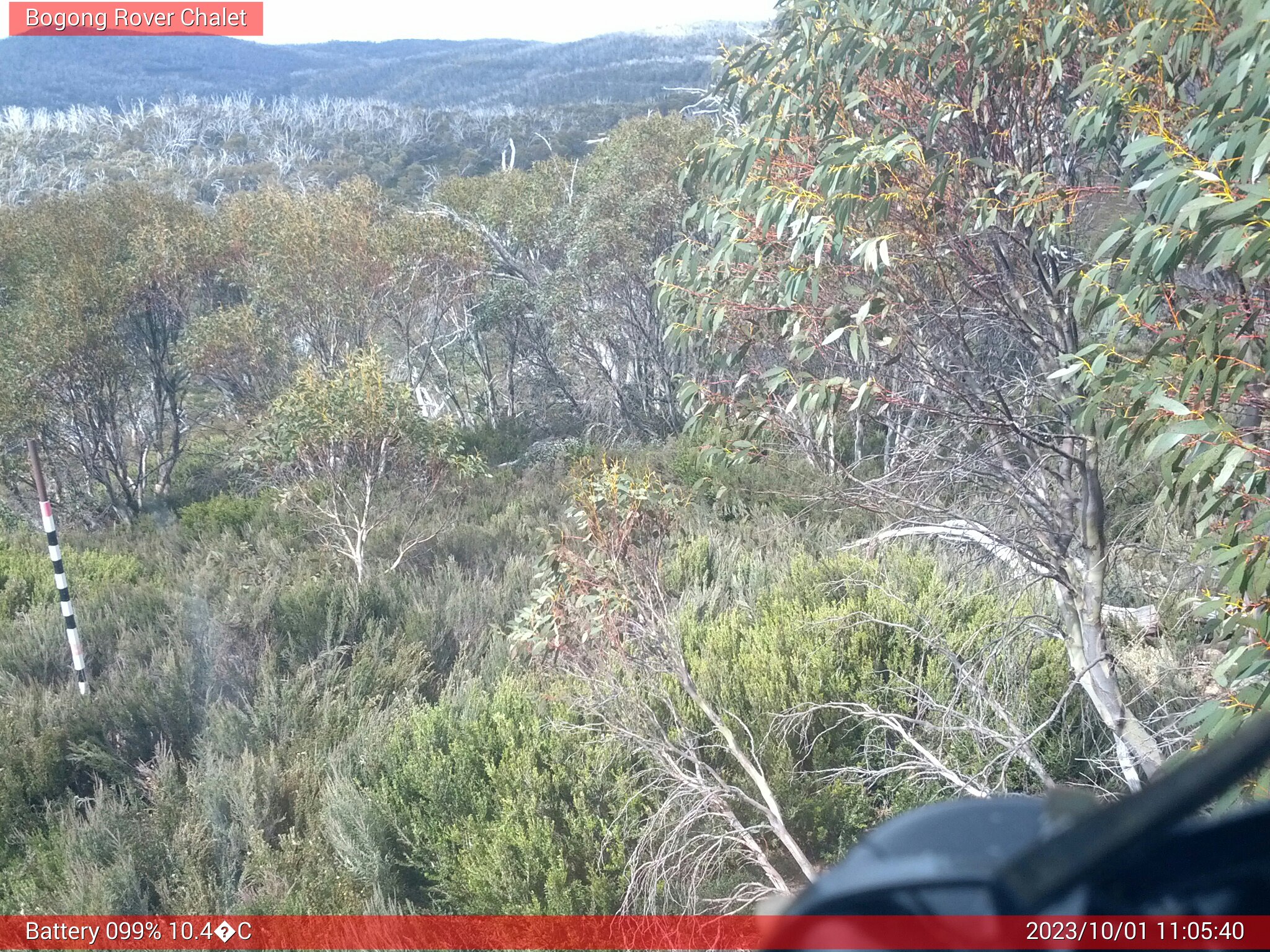 Bogong Web Cam 11:05am Sunday 1st of October 2023