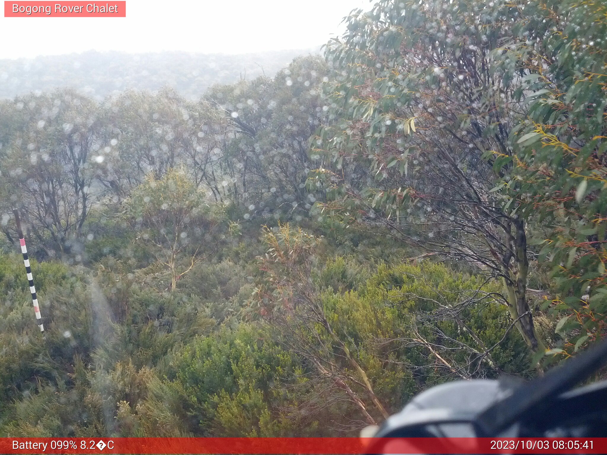 Bogong Web Cam 8:05am Tuesday 3rd of October 2023