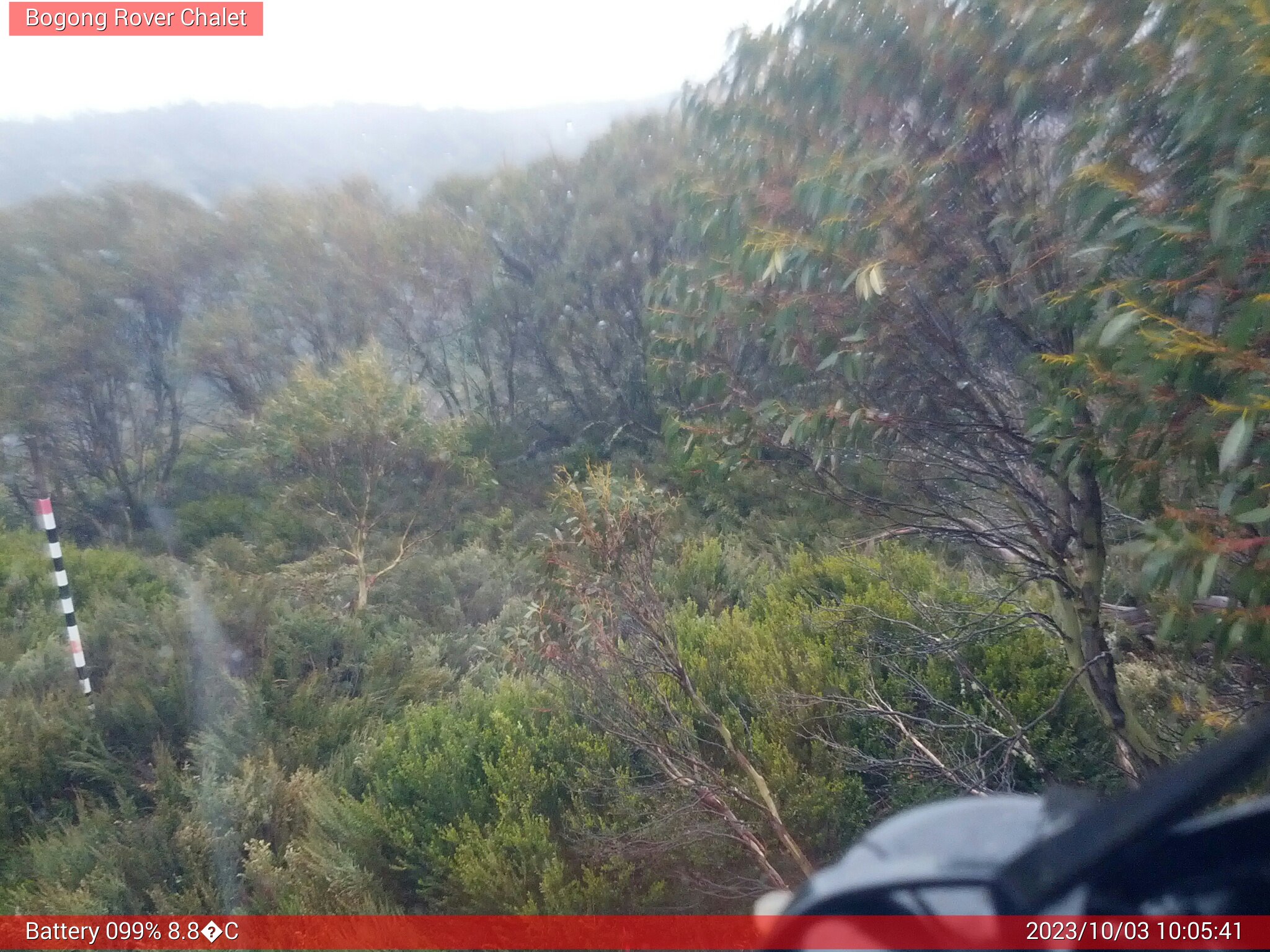 Bogong Web Cam 10:05am Tuesday 3rd of October 2023