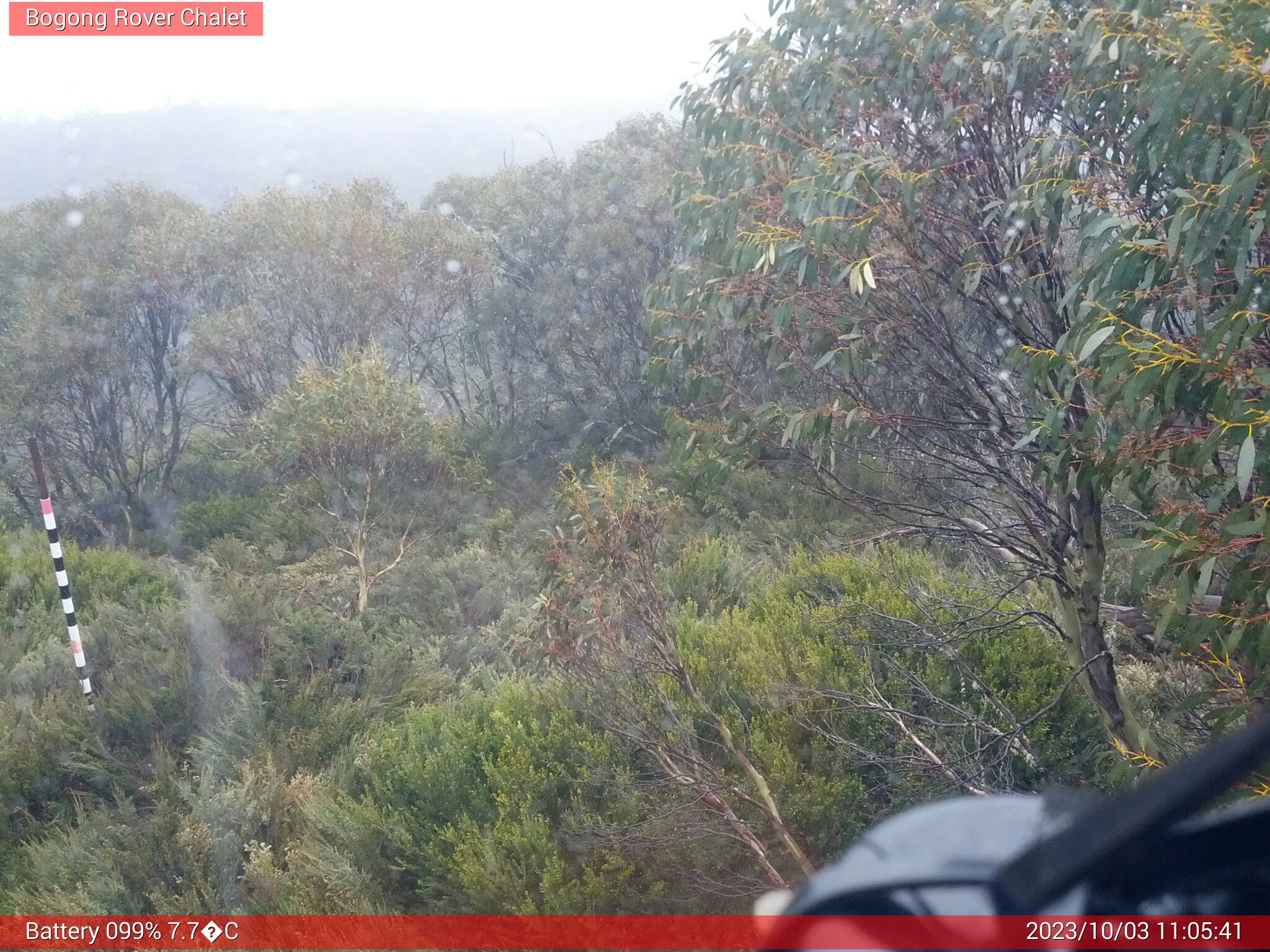 Bogong Web Cam 11:05am Tuesday 3rd of October 2023