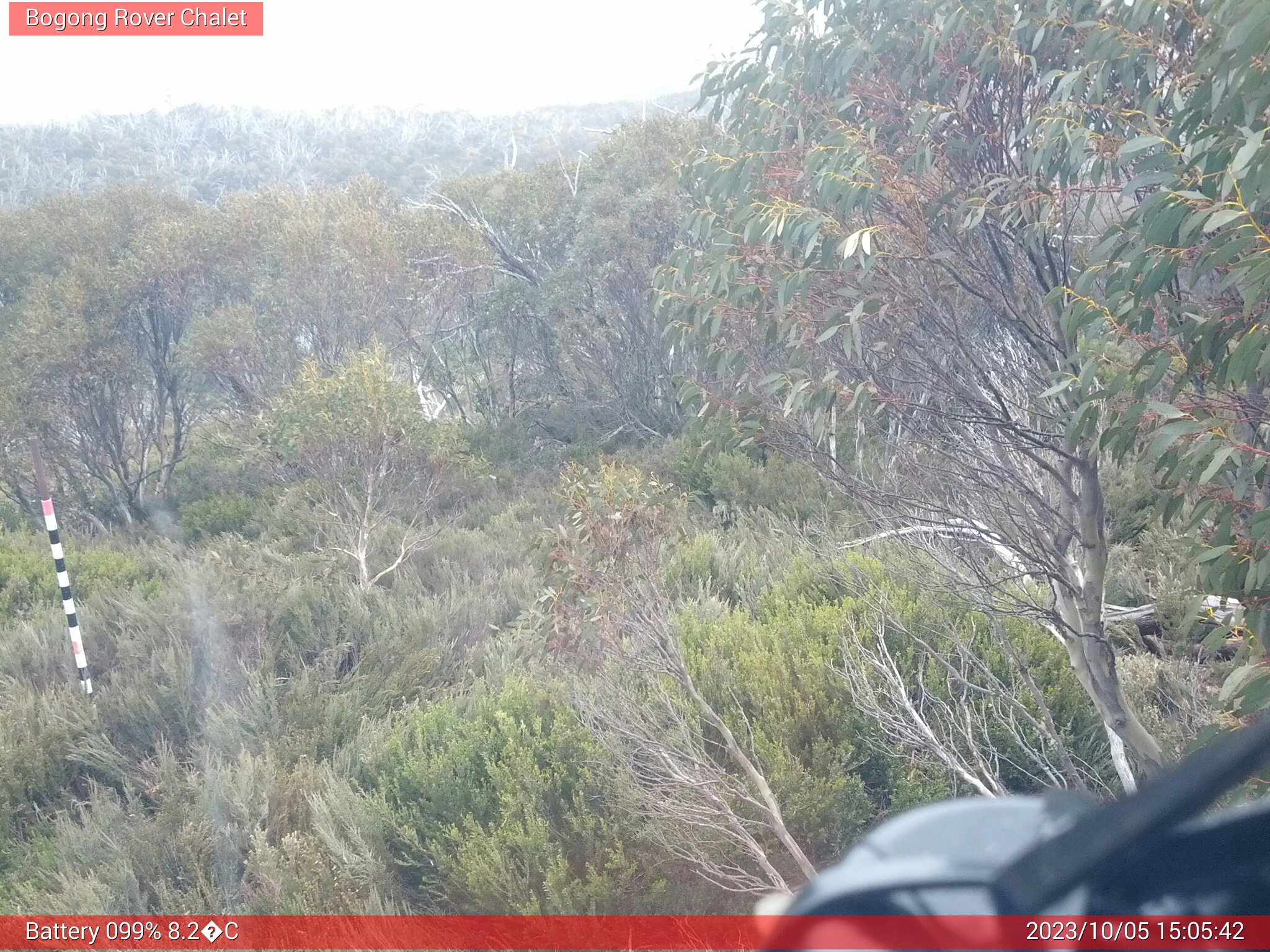 Bogong Web Cam 3:05pm Thursday 5th of October 2023