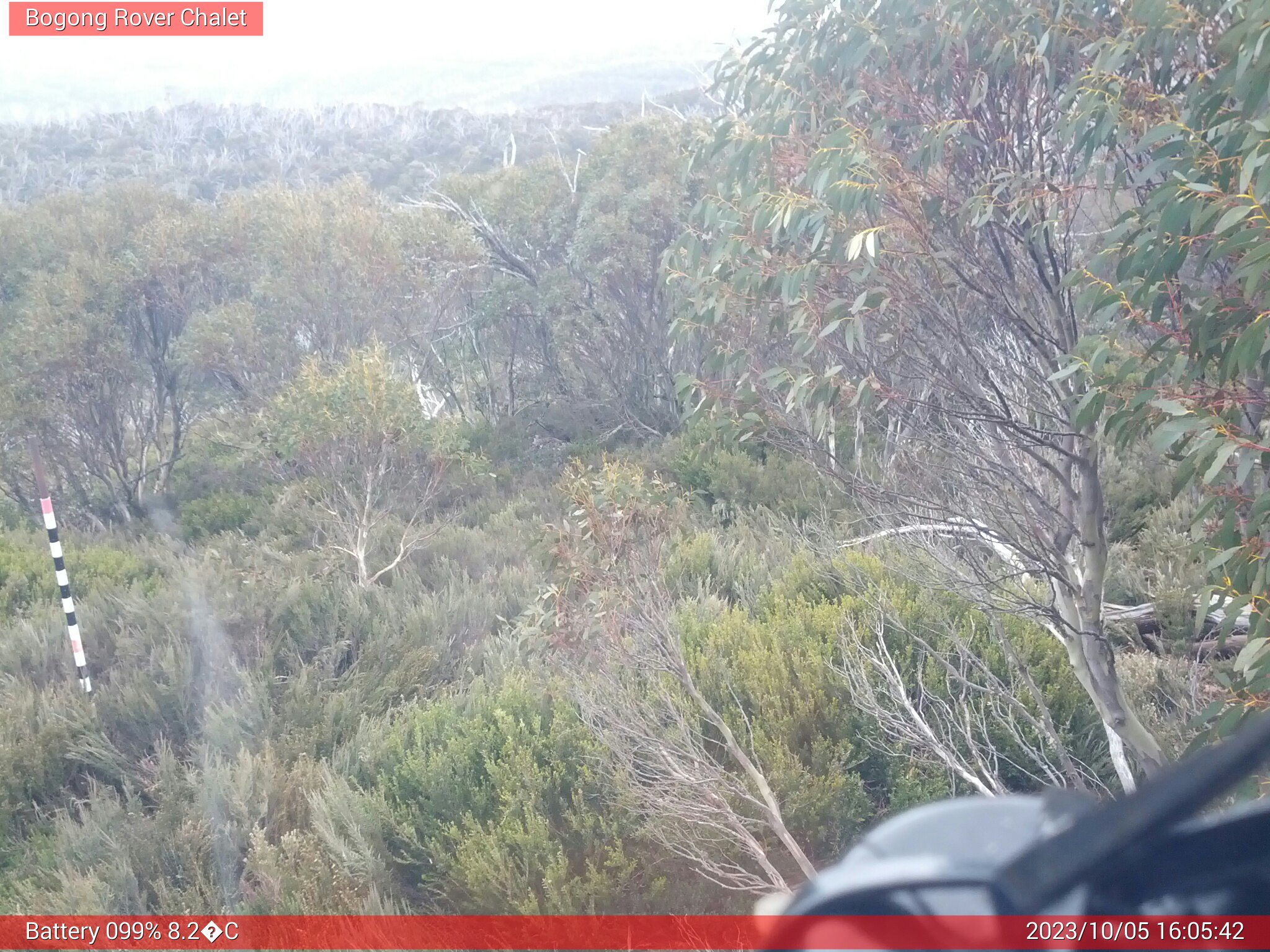 Bogong Web Cam 4:05pm Thursday 5th of October 2023