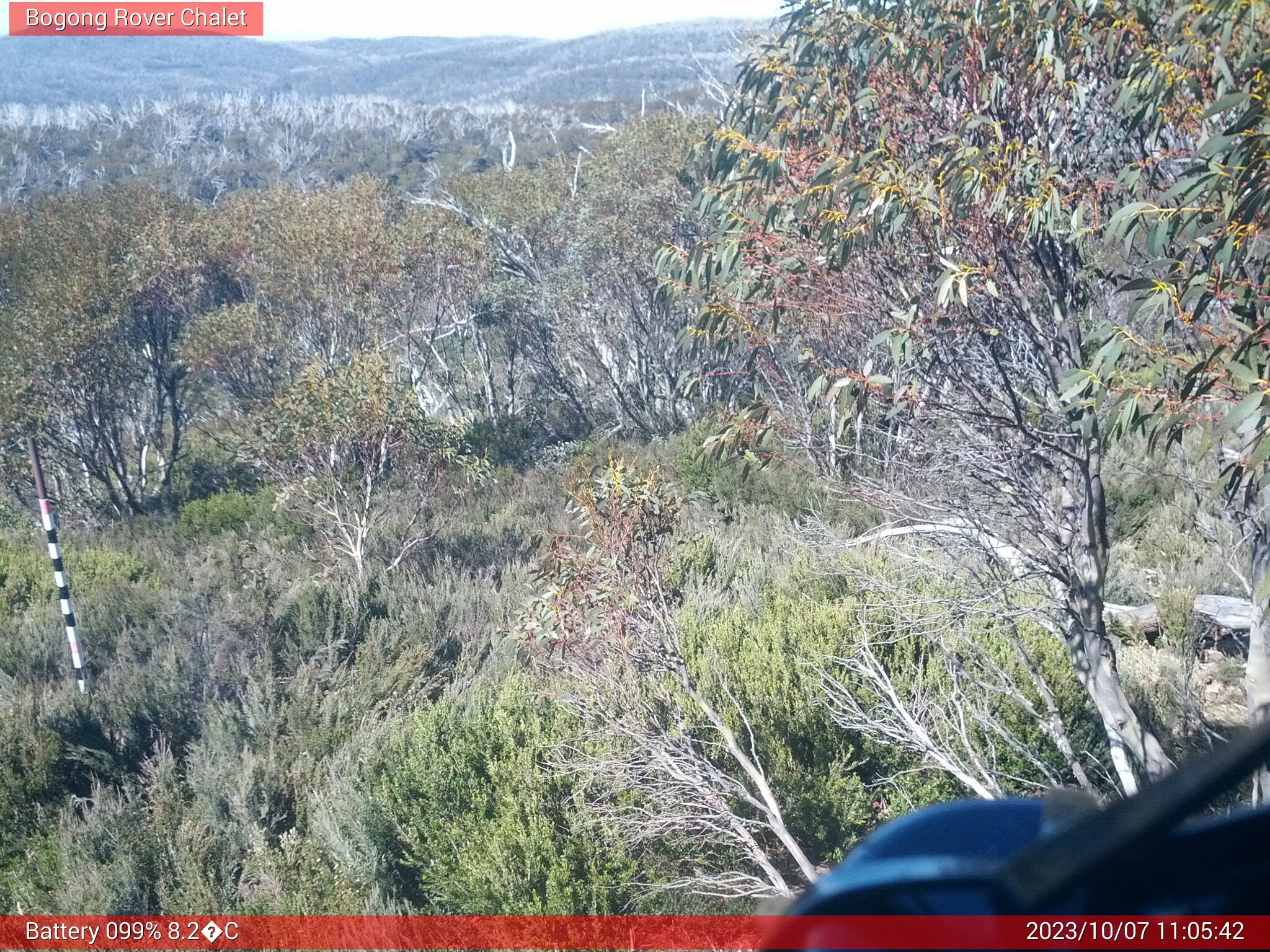 Bogong Web Cam 11:05am Saturday 7th of October 2023