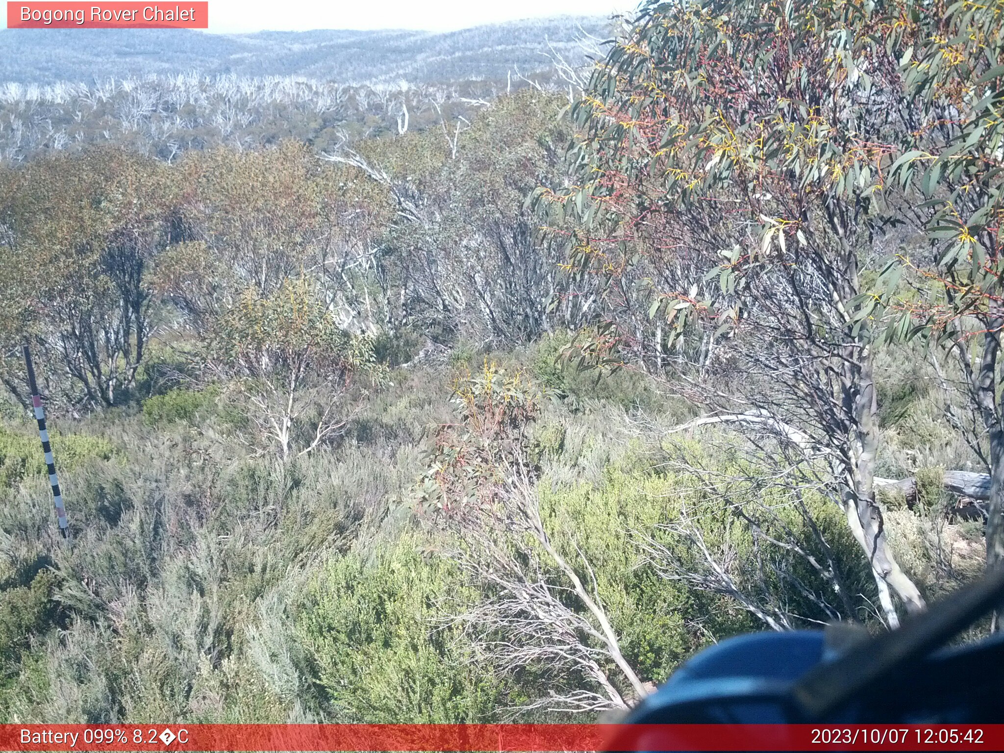 Bogong Web Cam 12:05pm Saturday 7th of October 2023