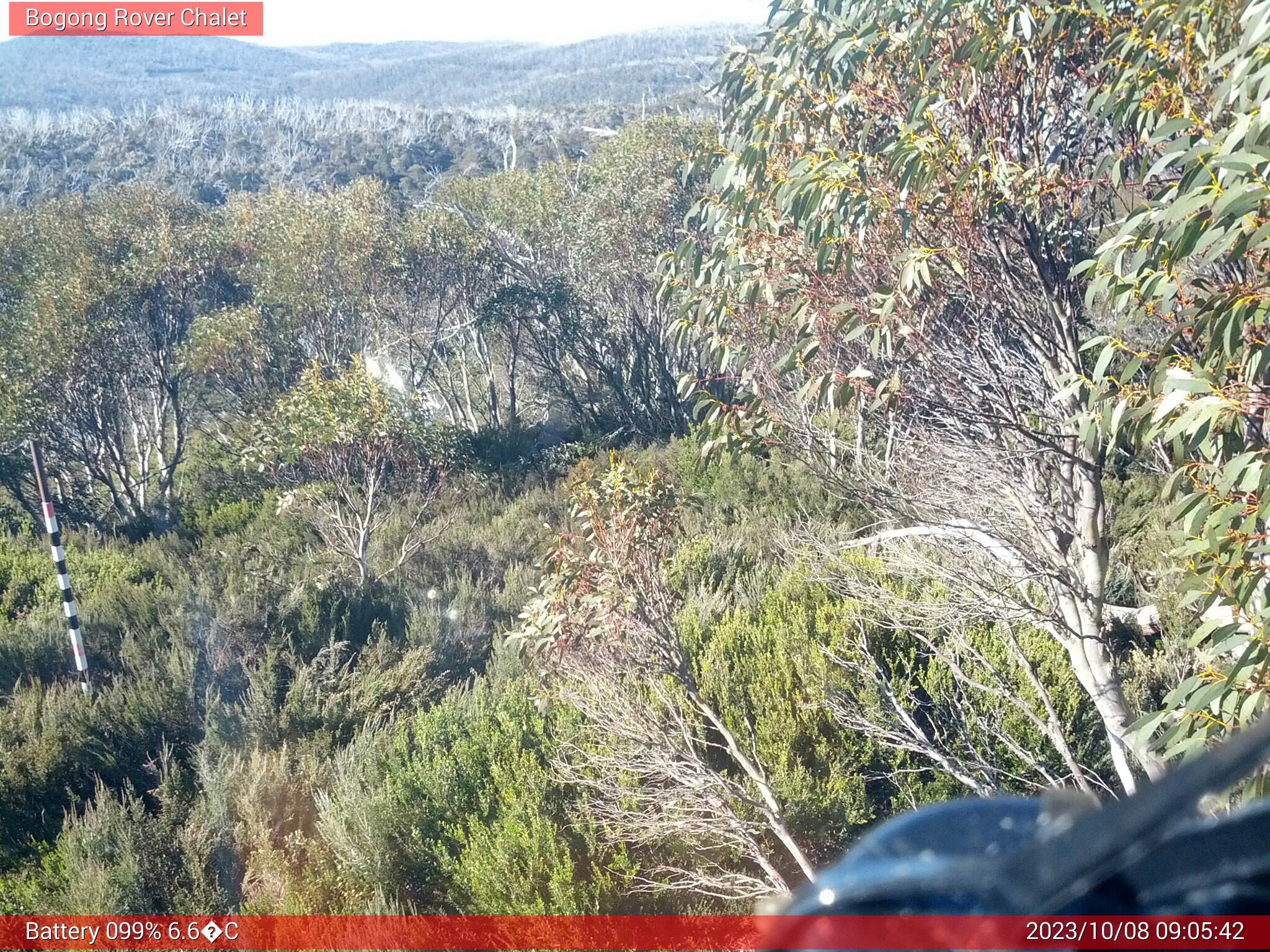 Bogong Web Cam 9:05am Sunday 8th of October 2023