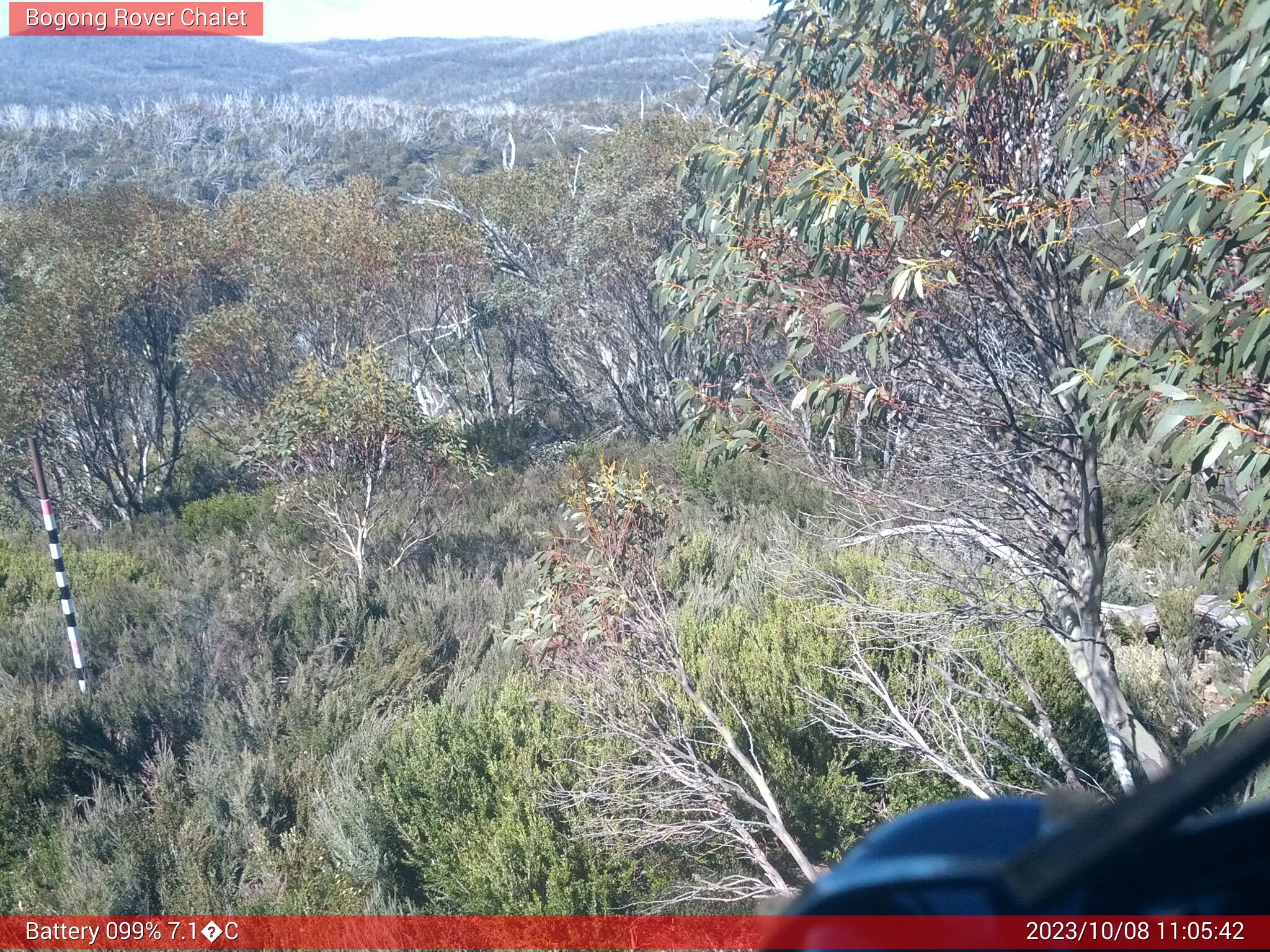 Bogong Web Cam 11:05am Sunday 8th of October 2023