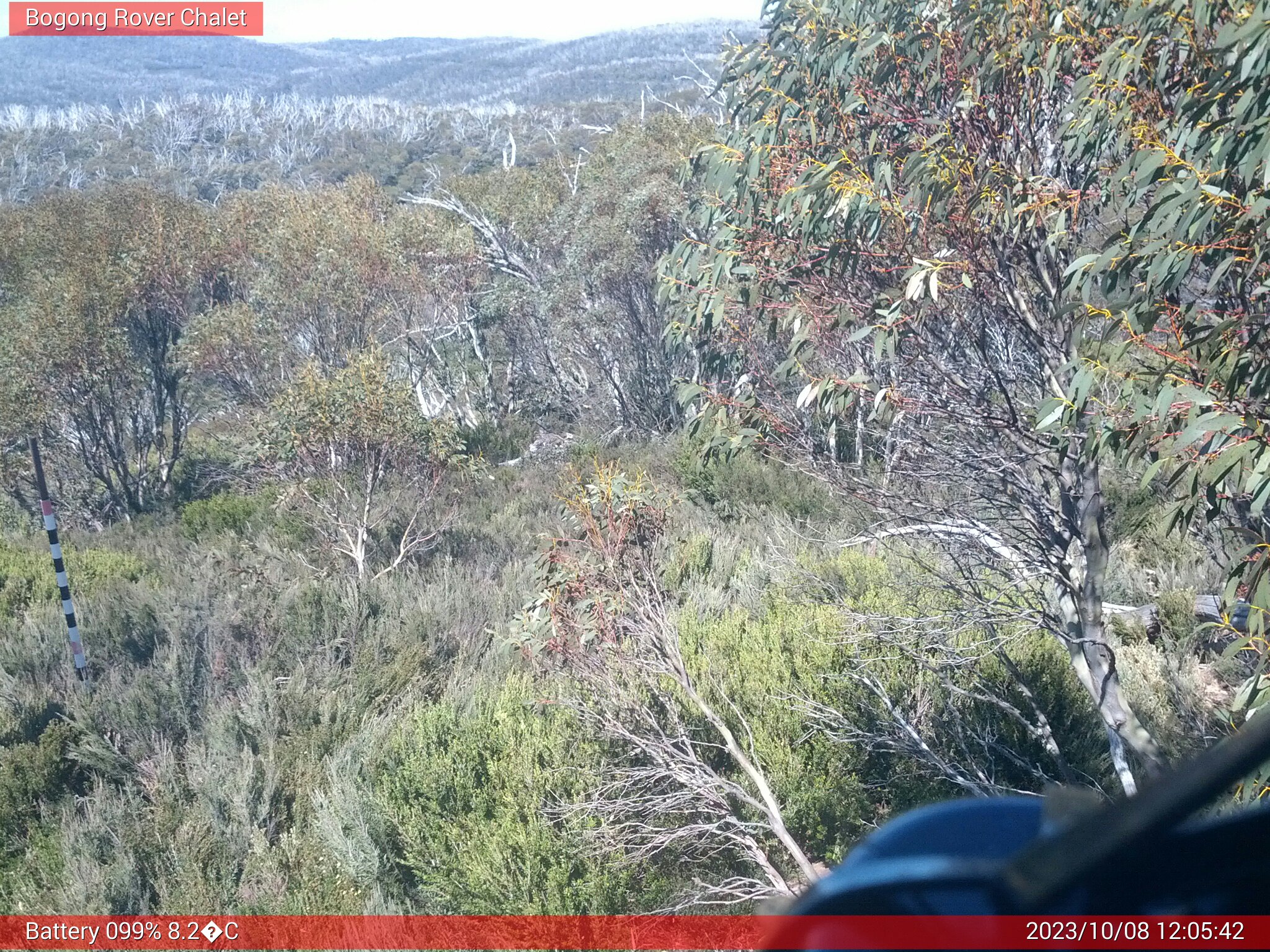 Bogong Web Cam 12:05pm Sunday 8th of October 2023