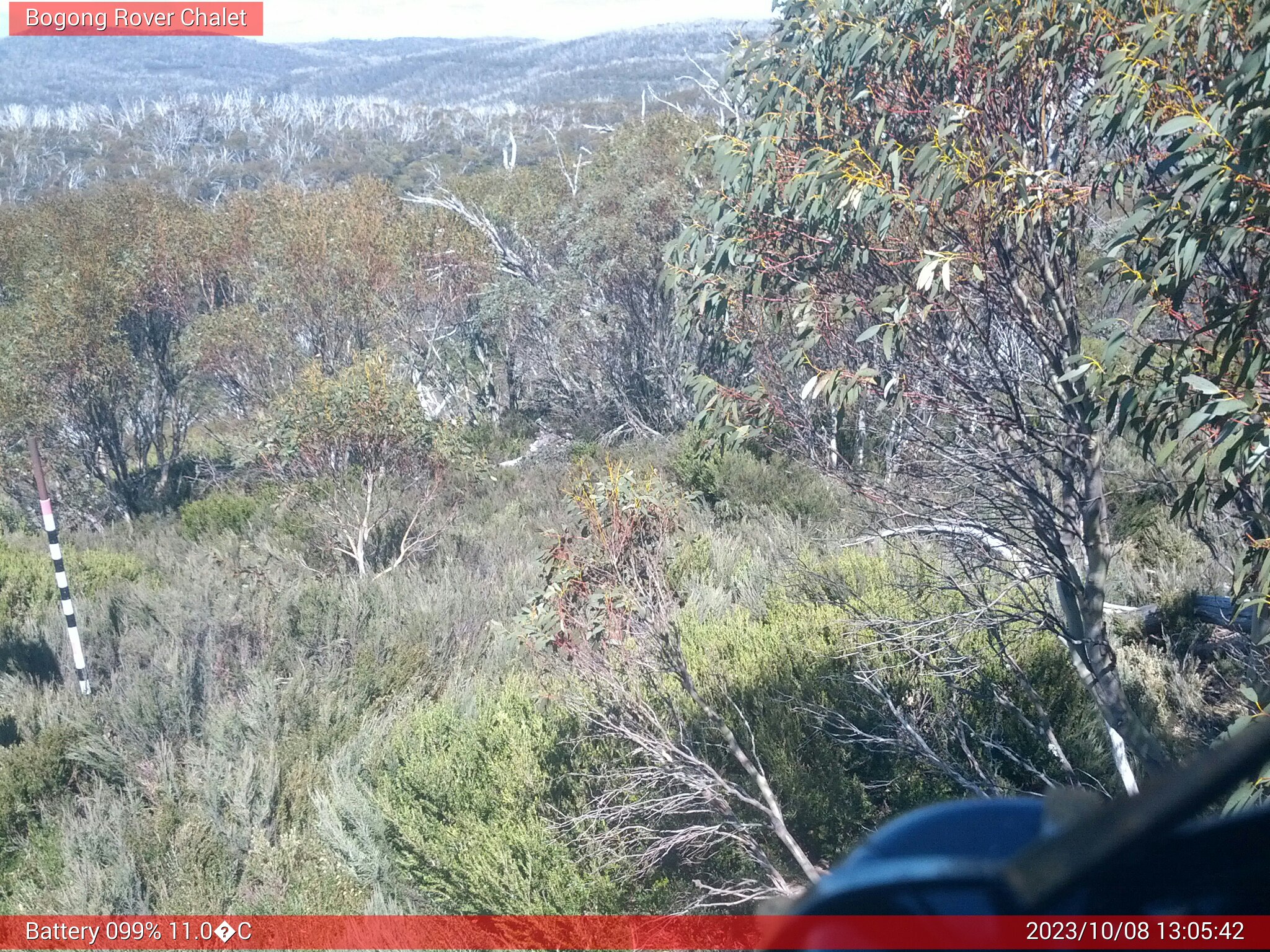 Bogong Web Cam 1:05pm Sunday 8th of October 2023