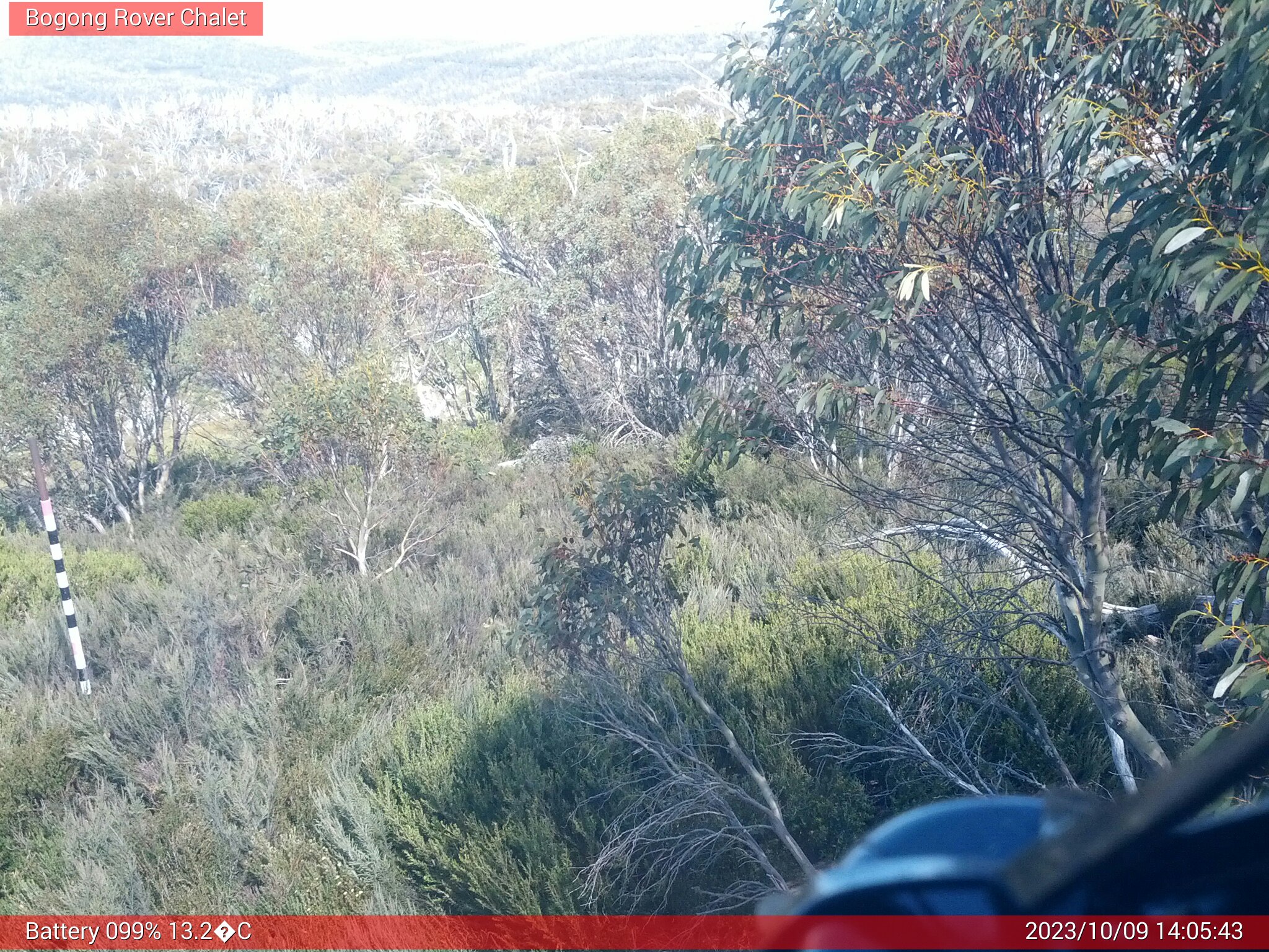 Bogong Web Cam 2:05pm Monday 9th of October 2023