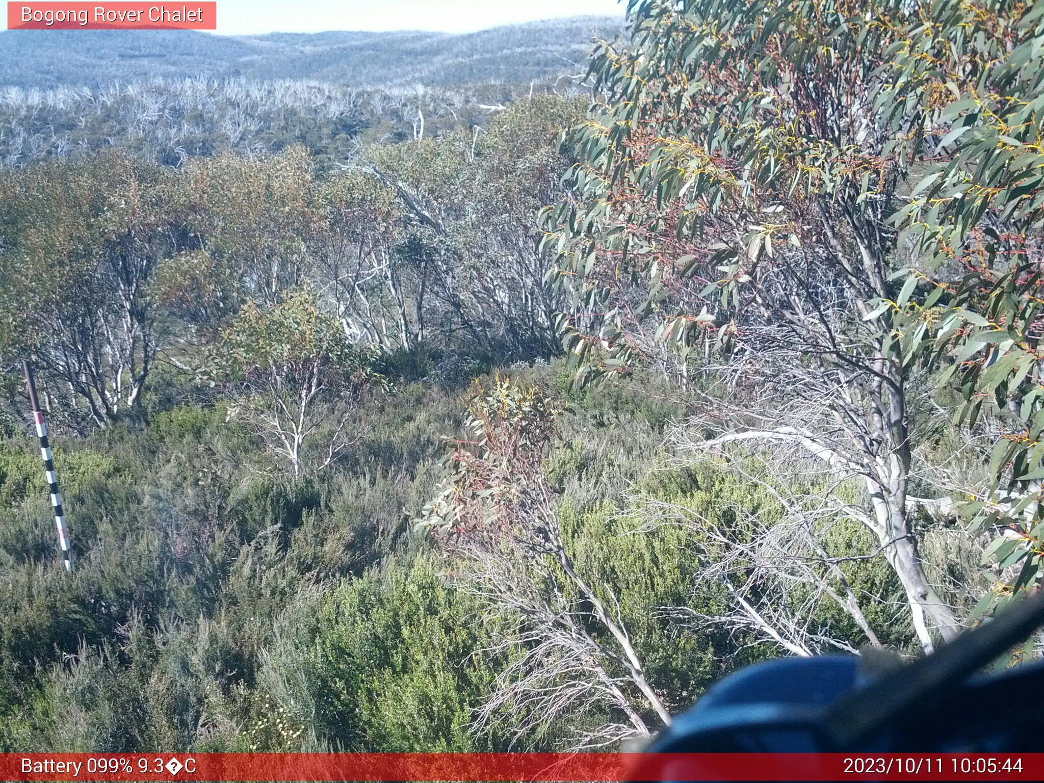 Bogong Web Cam 10:05am Wednesday 11th of October 2023