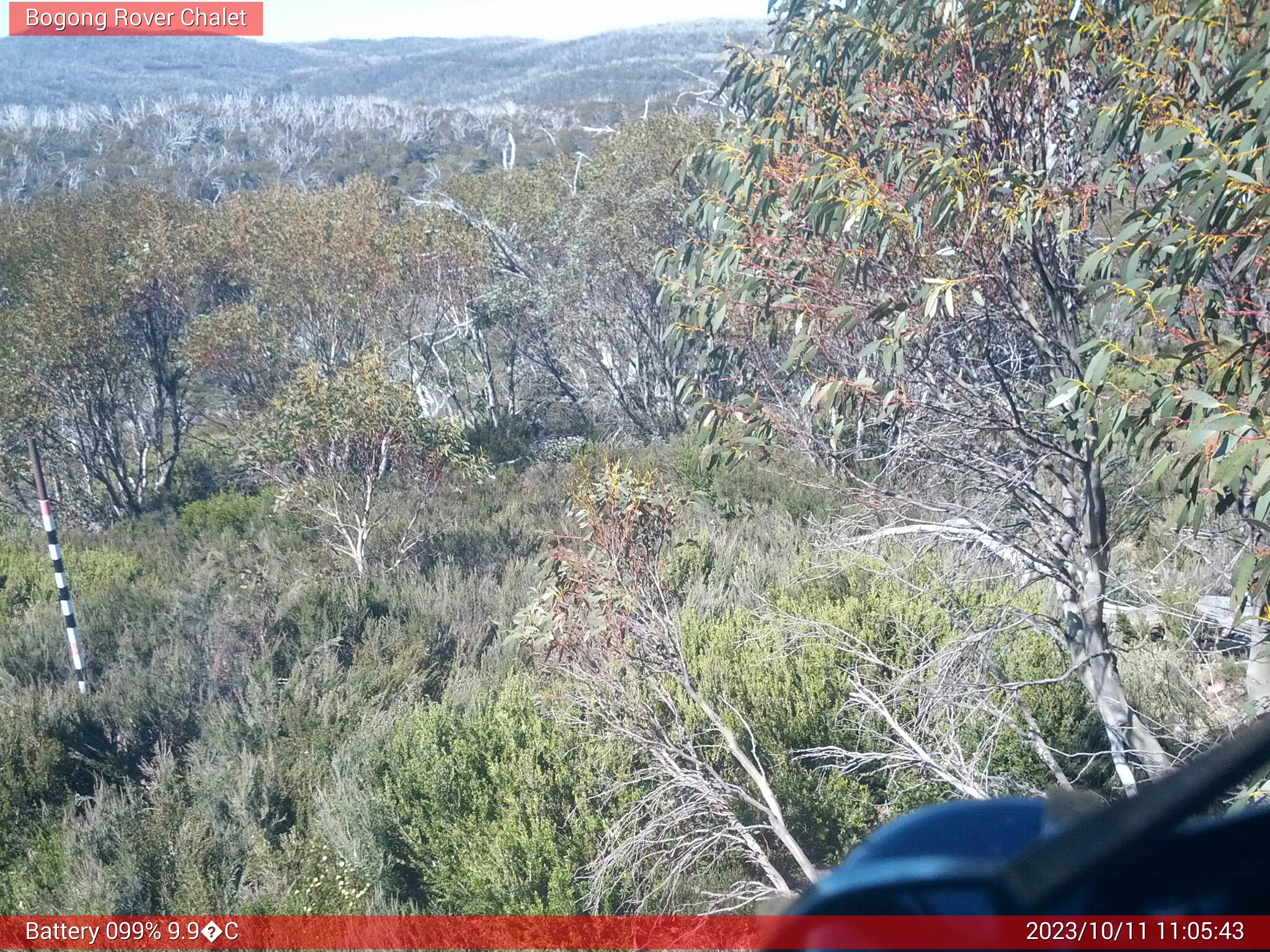 Bogong Web Cam 11:05am Wednesday 11th of October 2023