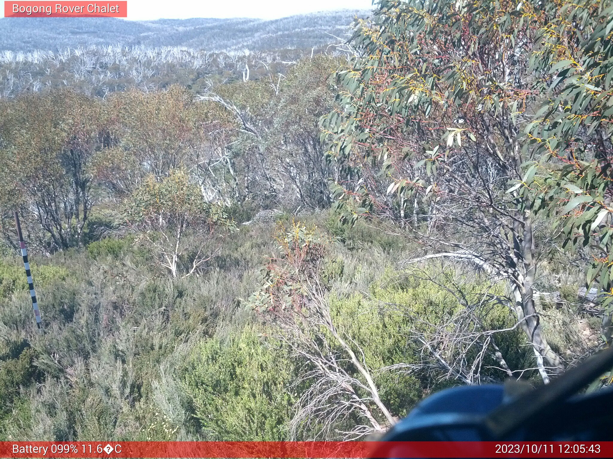 Bogong Web Cam 12:05pm Wednesday 11th of October 2023