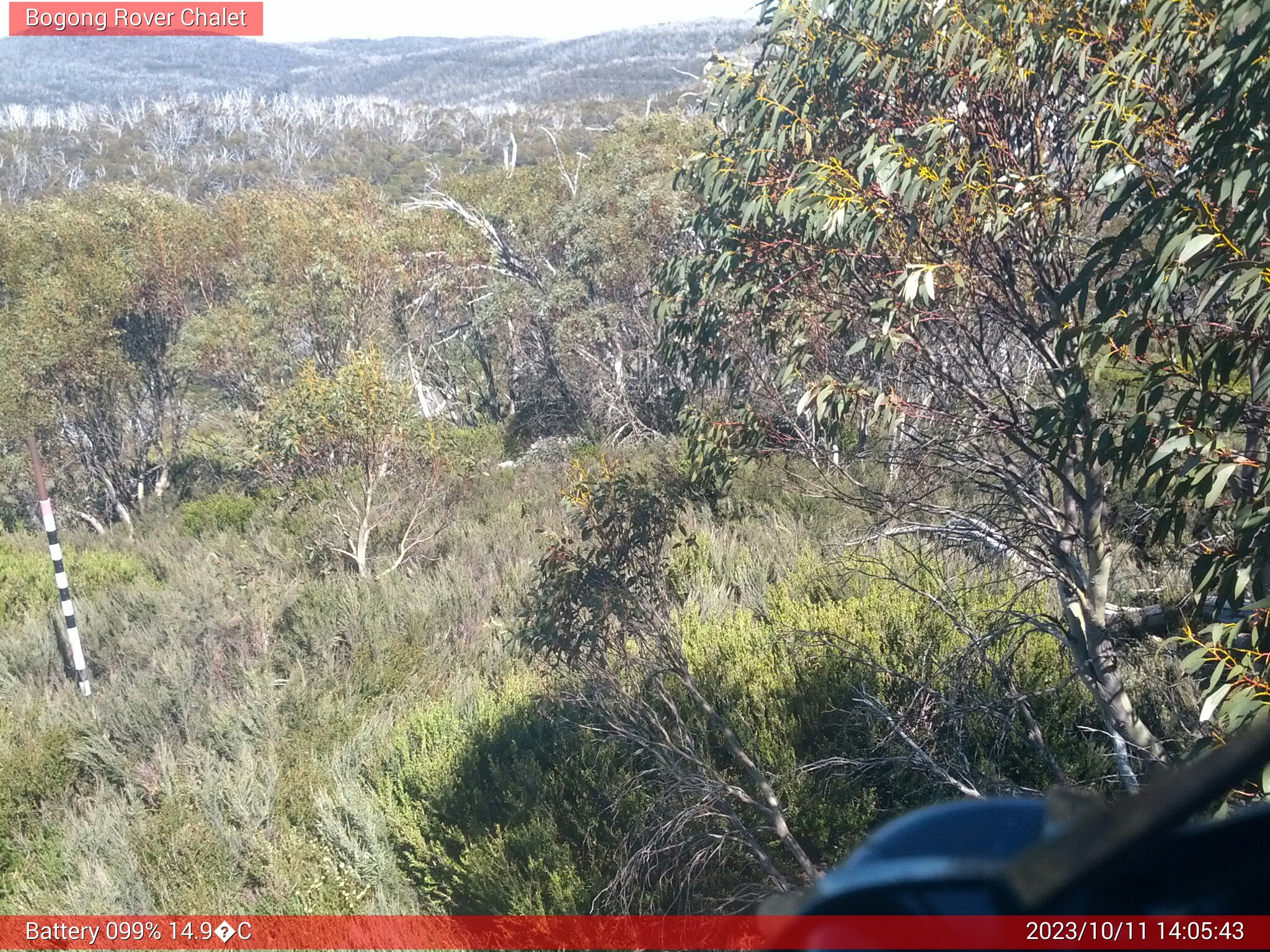 Bogong Web Cam 2:05pm Wednesday 11th of October 2023