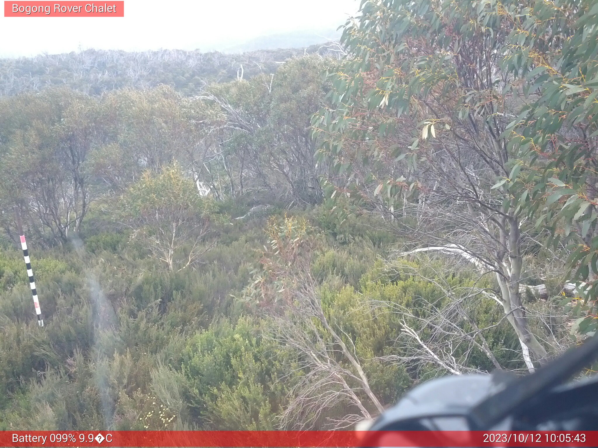 Bogong Web Cam 10:05am Thursday 12th of October 2023