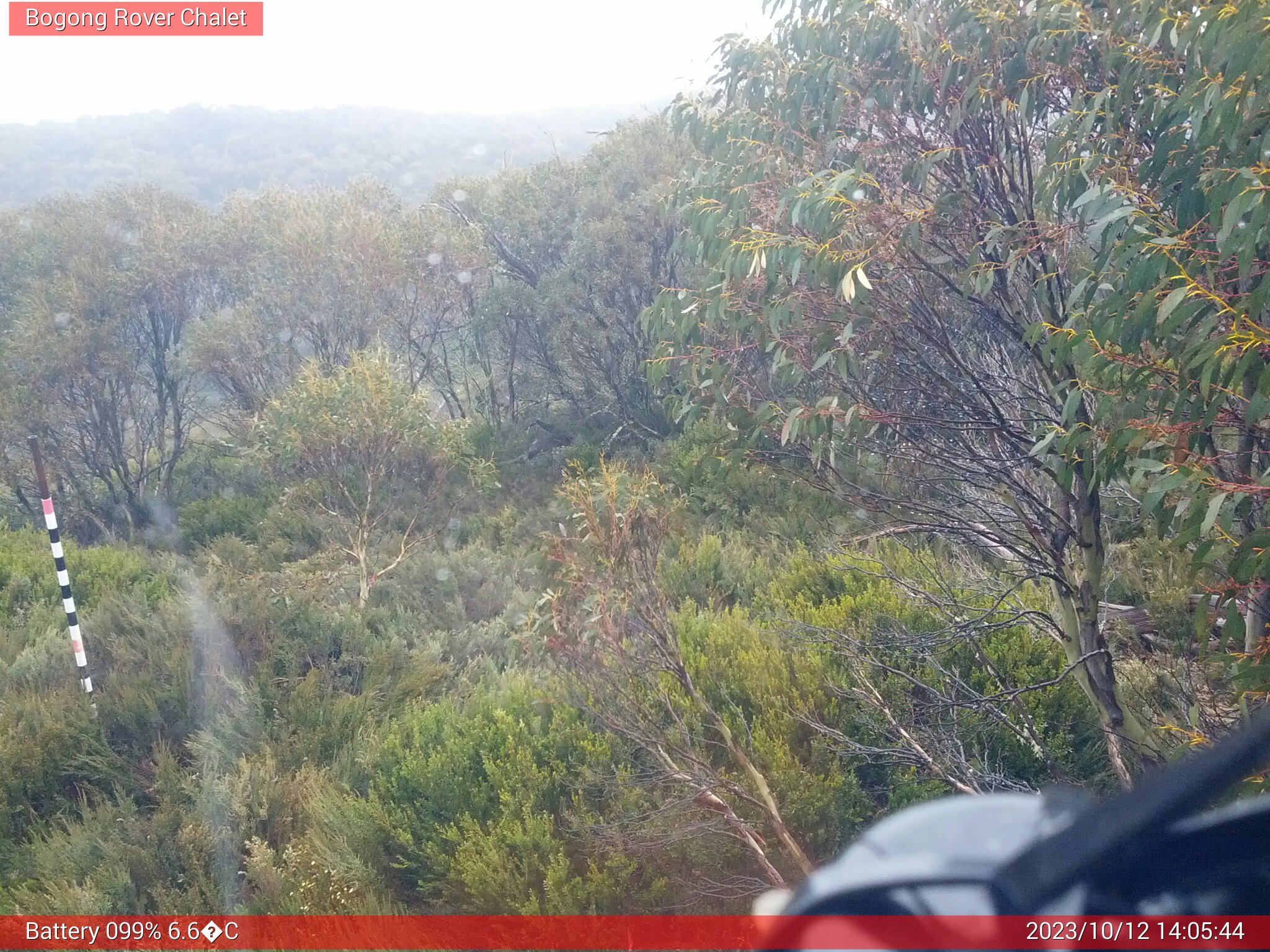 Bogong Web Cam 2:05pm Thursday 12th of October 2023