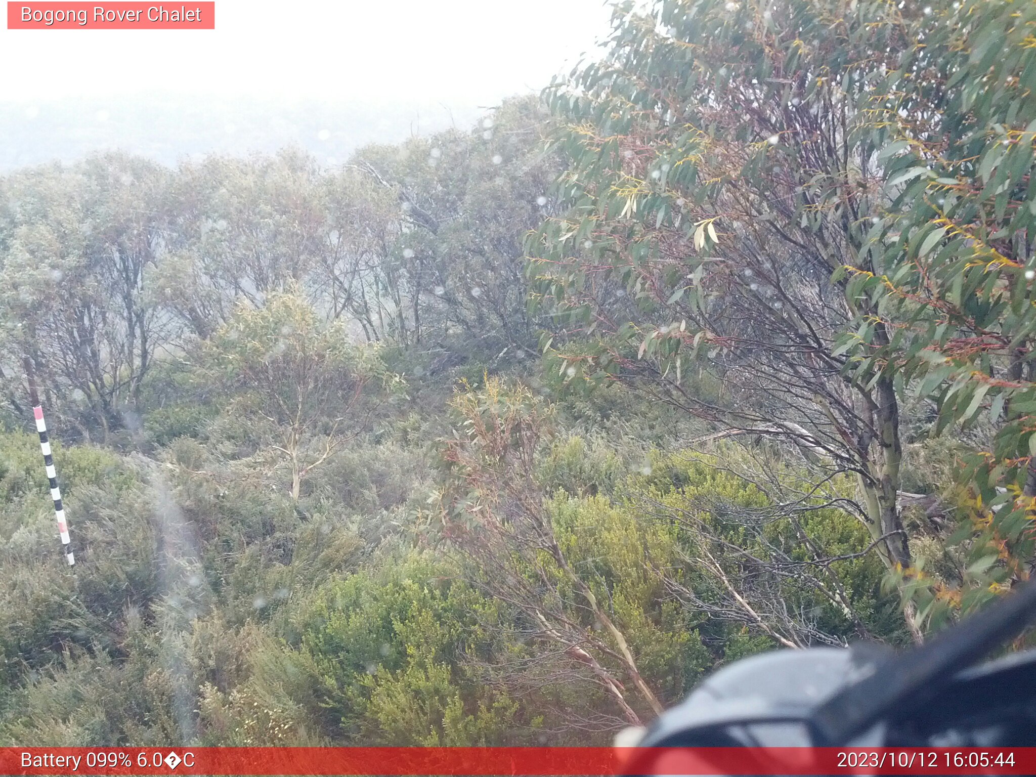 Bogong Web Cam 4:05pm Thursday 12th of October 2023