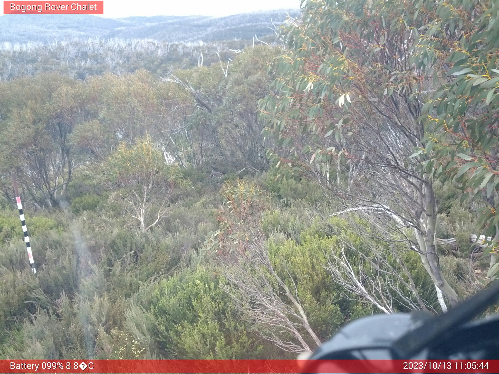 Bogong Web Cam 11:05am Friday 13th of October 2023