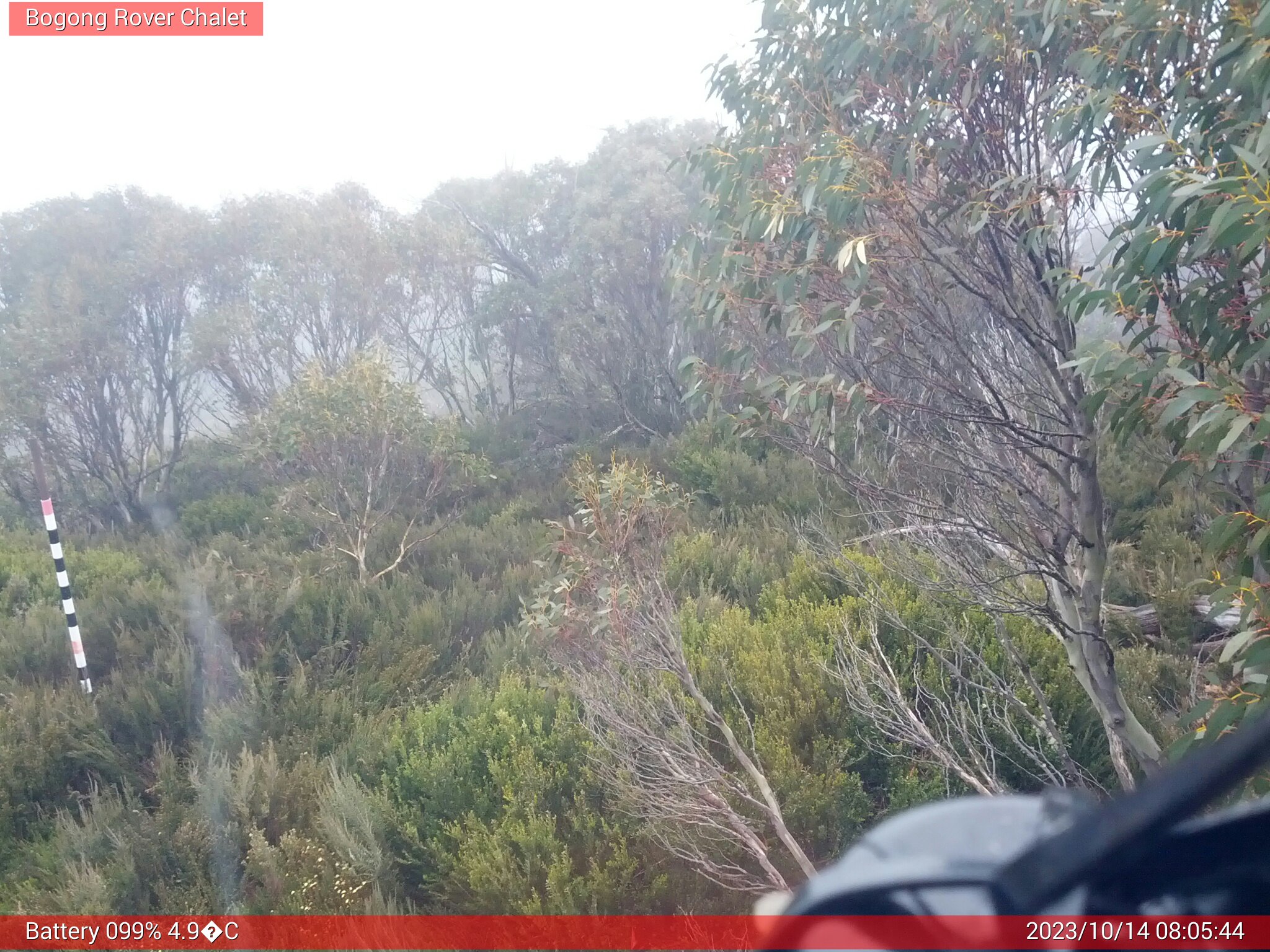 Bogong Web Cam 8:05am Saturday 14th of October 2023