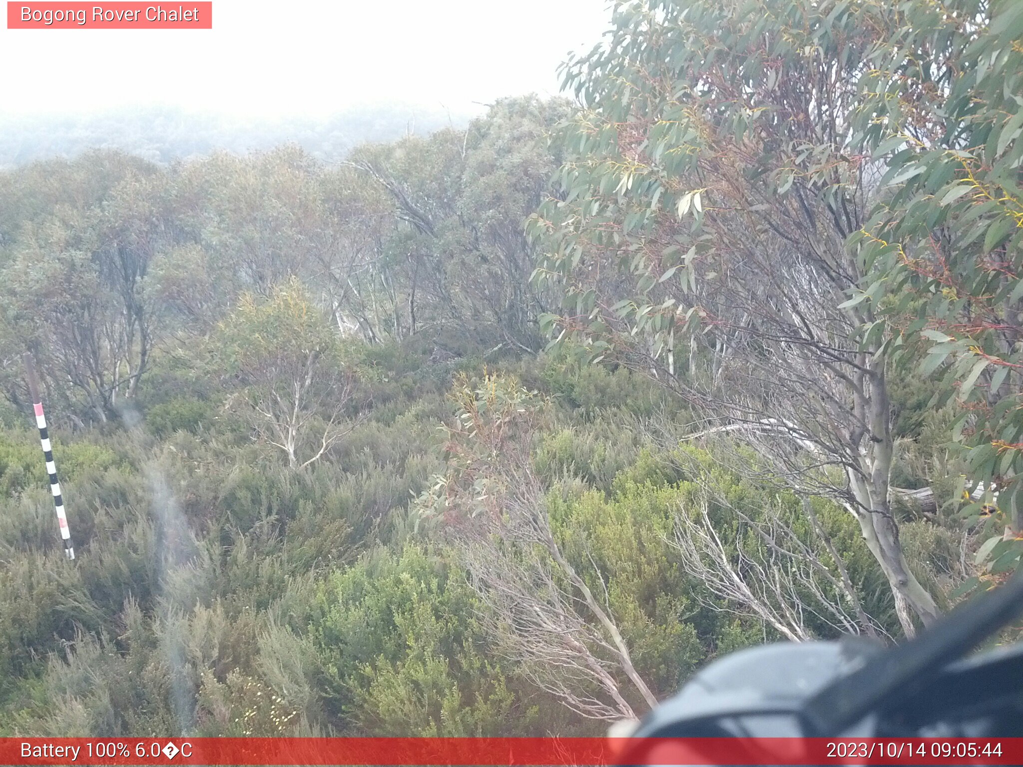 Bogong Web Cam 9:05am Saturday 14th of October 2023