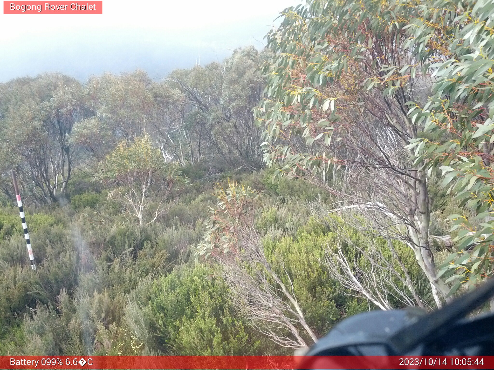 Bogong Web Cam 10:05am Saturday 14th of October 2023