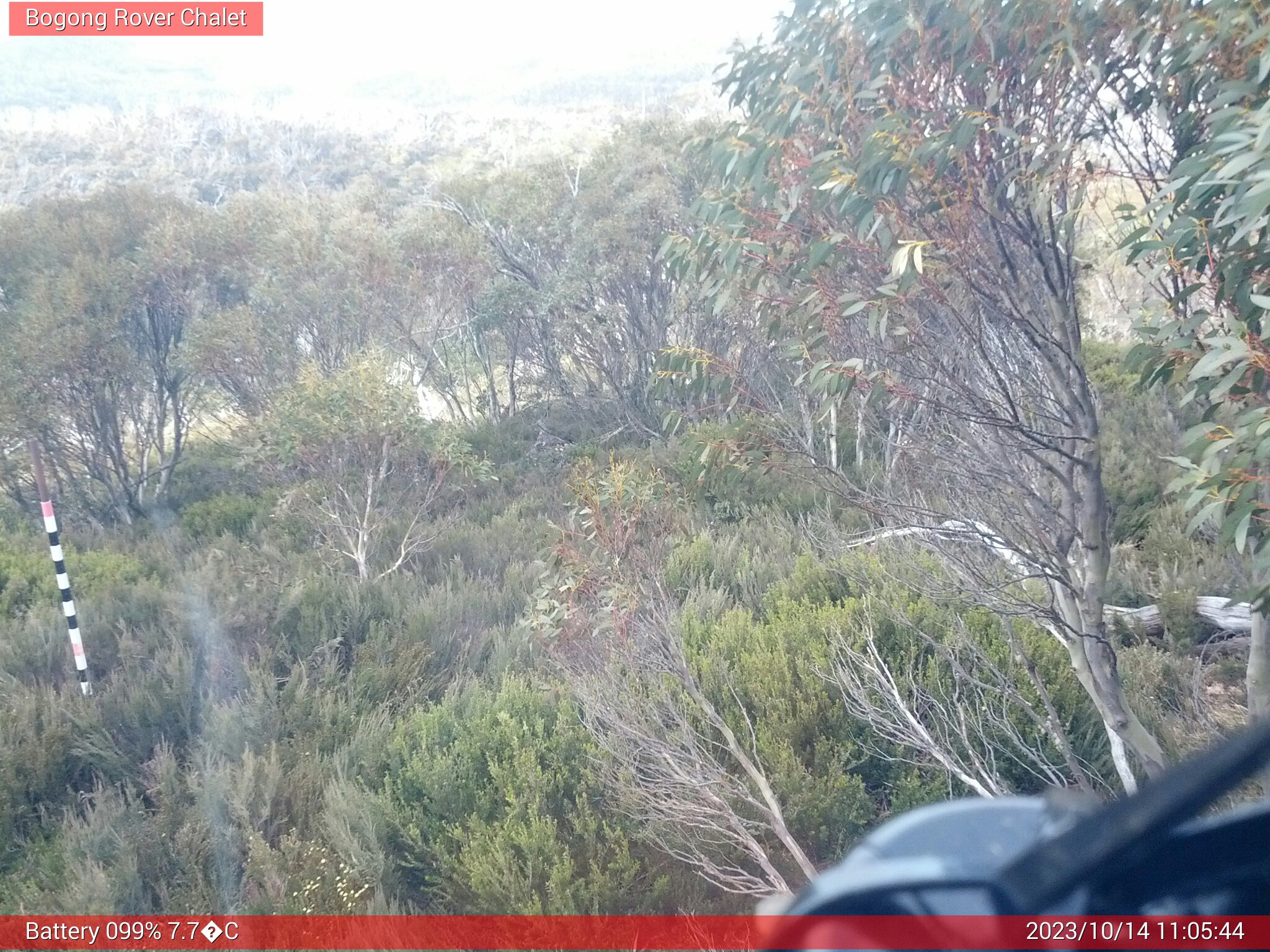 Bogong Web Cam 11:05am Saturday 14th of October 2023