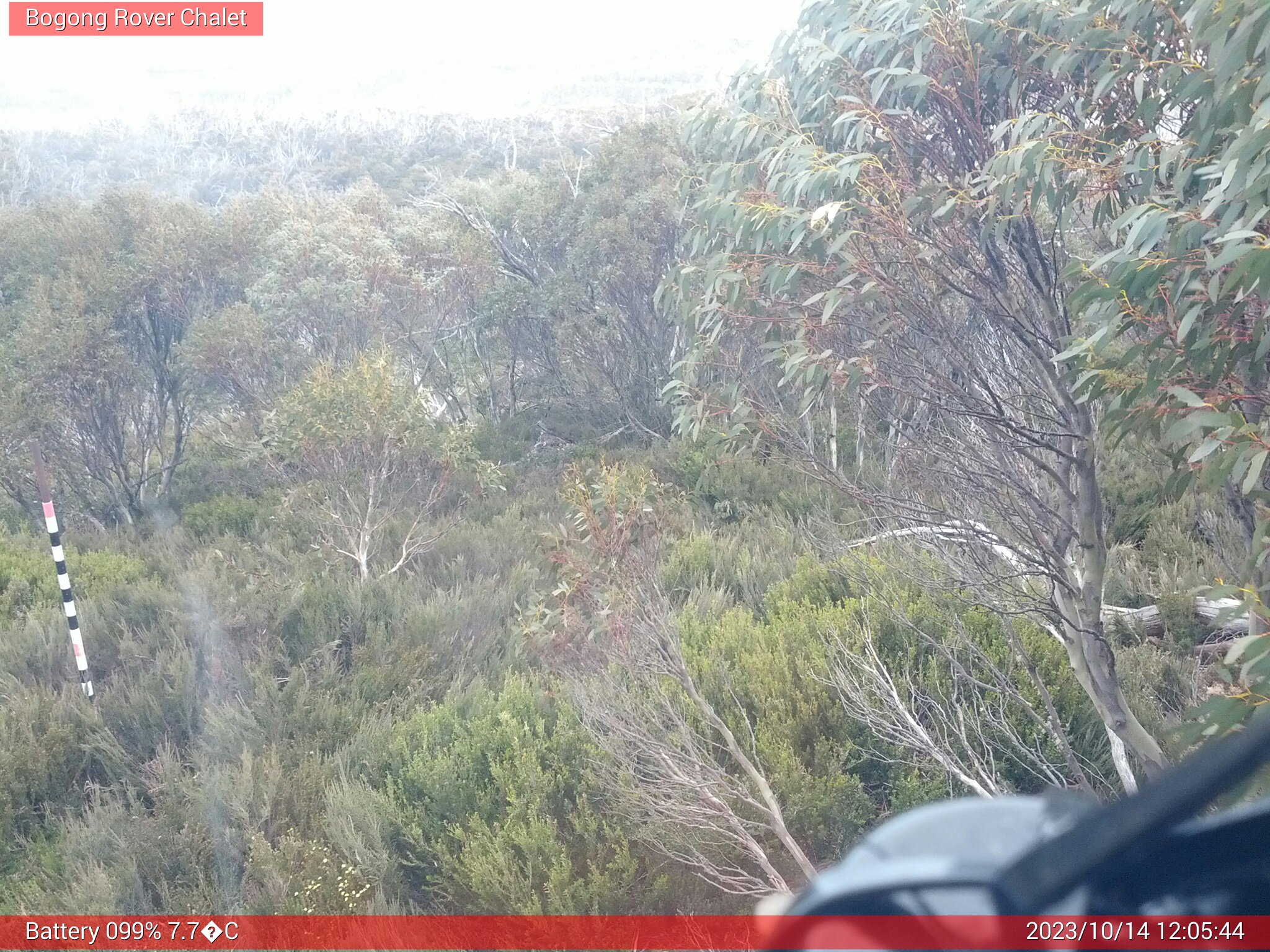 Bogong Web Cam 12:05pm Saturday 14th of October 2023