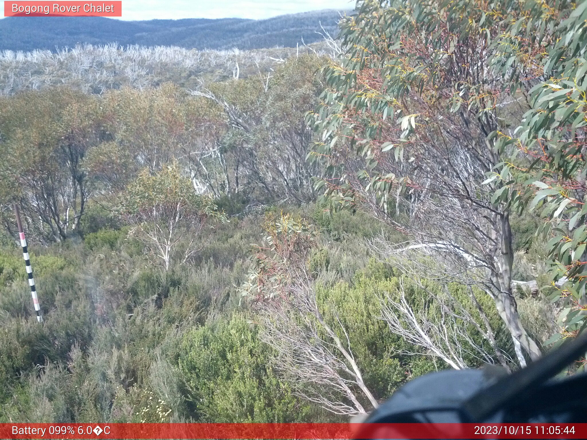 Bogong Web Cam 11:05am Sunday 15th of October 2023