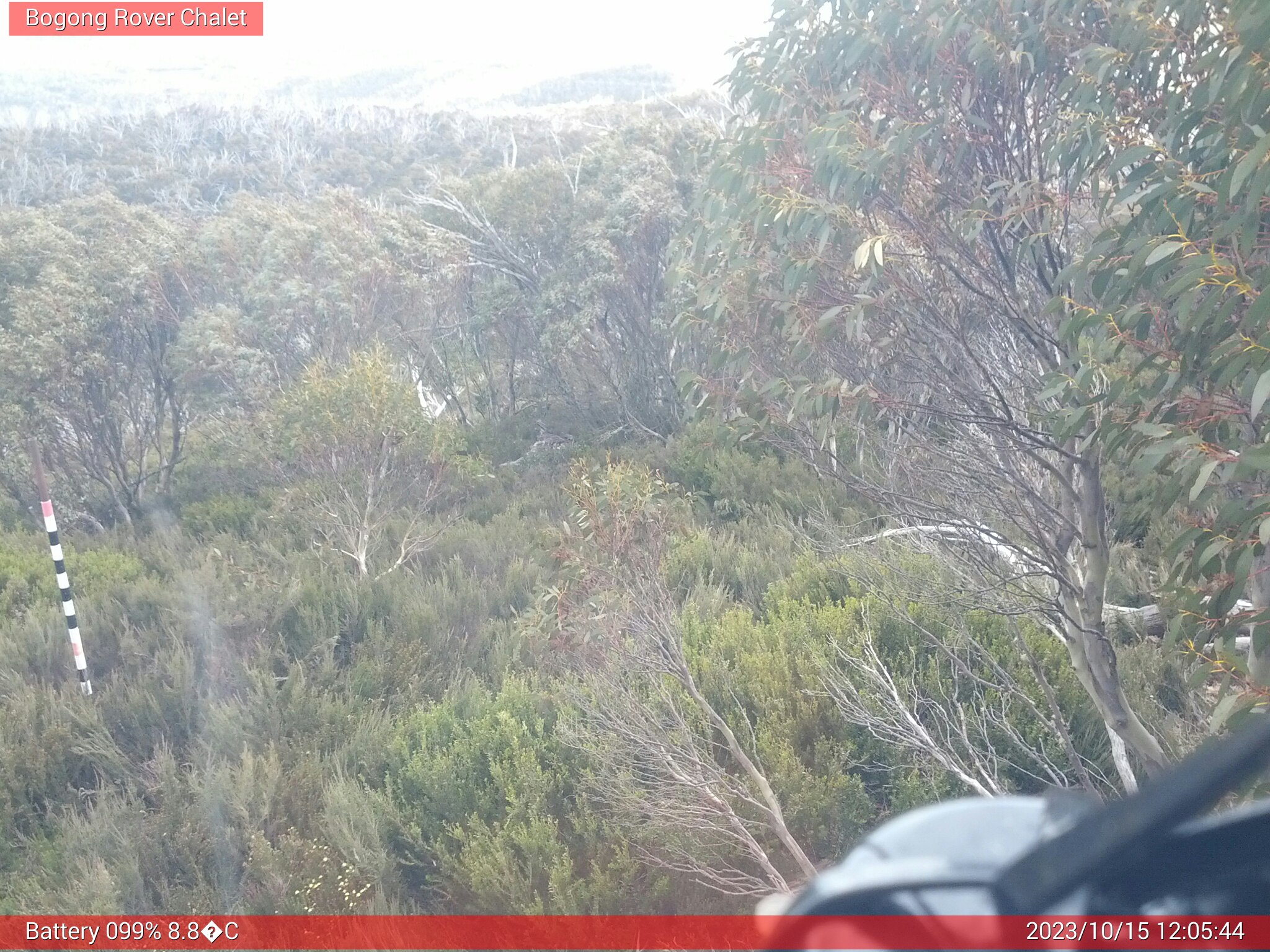 Bogong Web Cam 12:05pm Sunday 15th of October 2023