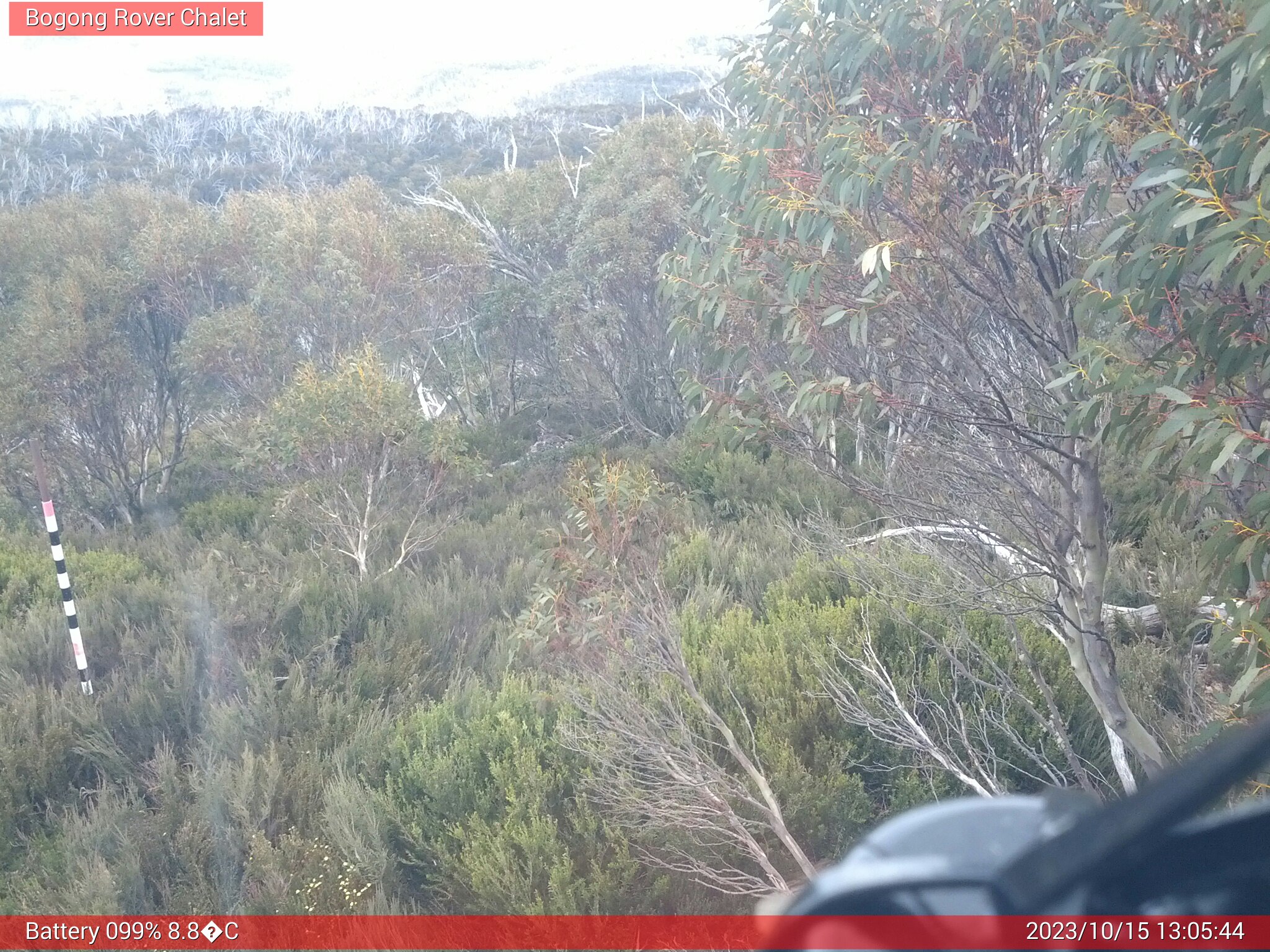 Bogong Web Cam 1:05pm Sunday 15th of October 2023