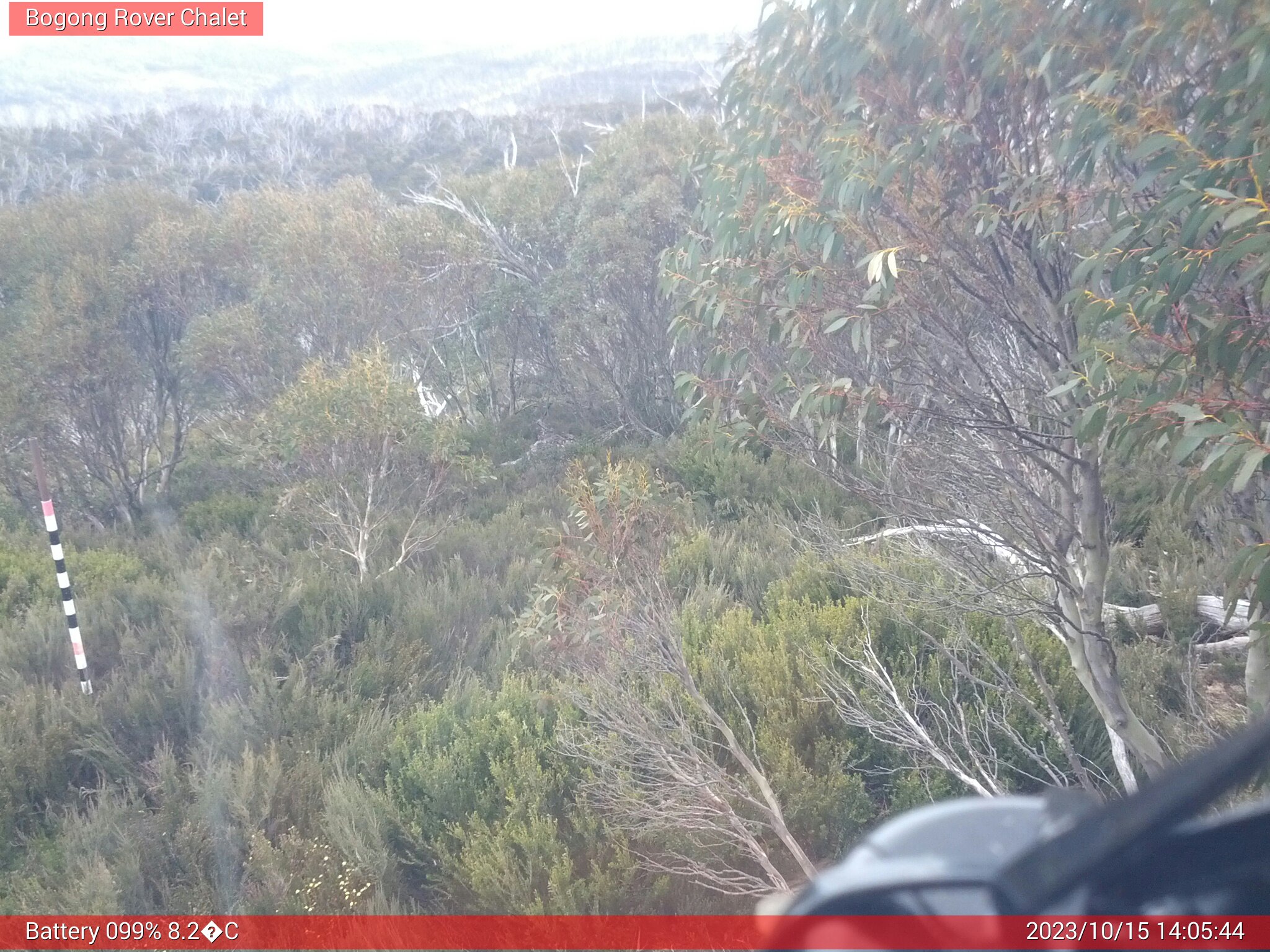 Bogong Web Cam 2:05pm Sunday 15th of October 2023