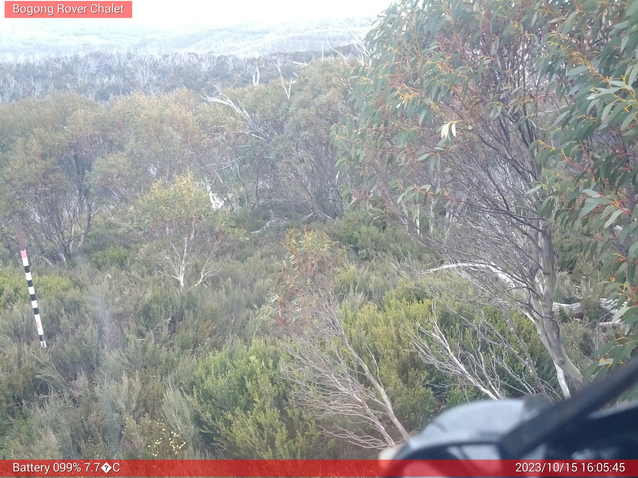 Bogong Web Cam 4:05pm Sunday 15th of October 2023