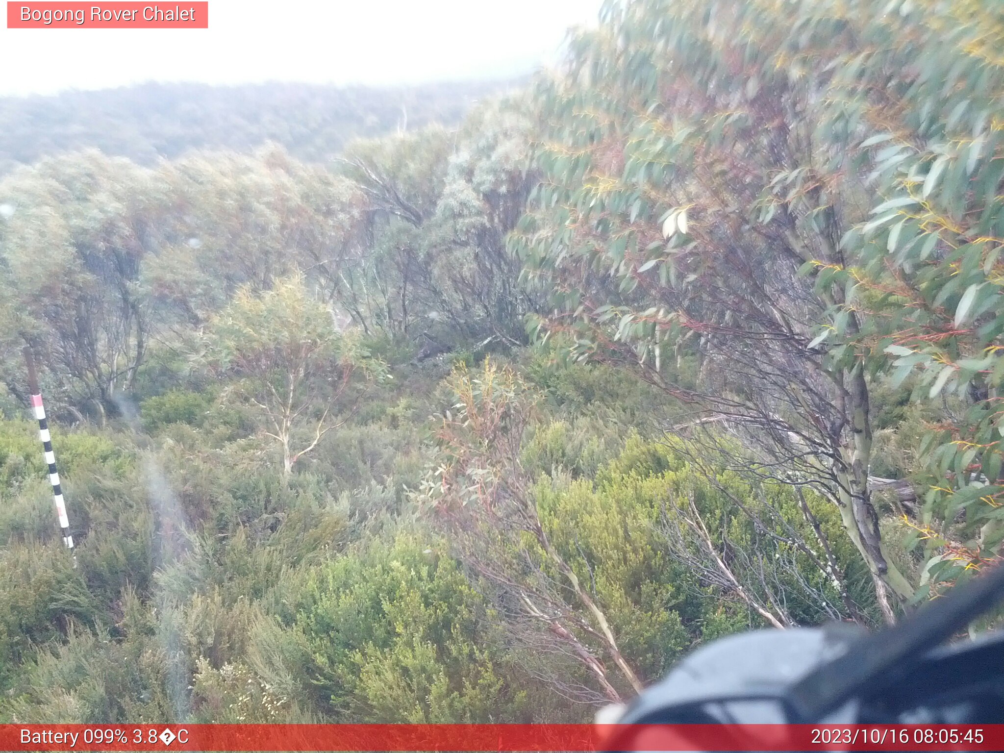 Bogong Web Cam 8:05am Monday 16th of October 2023