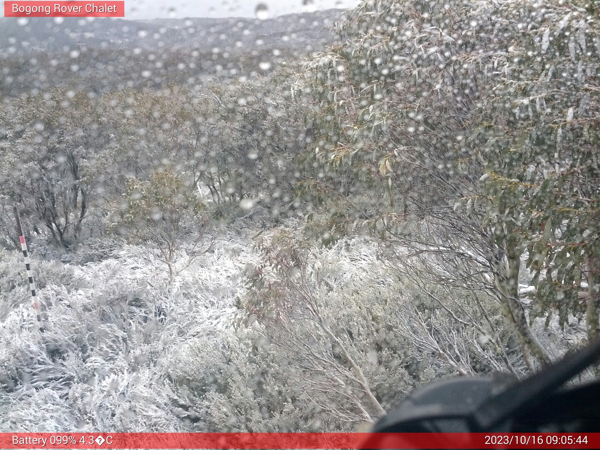 Bogong Web Cam 9:05am Monday 16th of October 2023