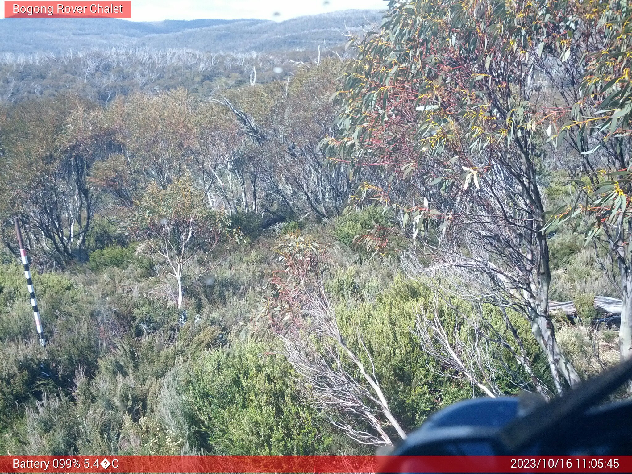 Bogong Web Cam 11:05am Monday 16th of October 2023