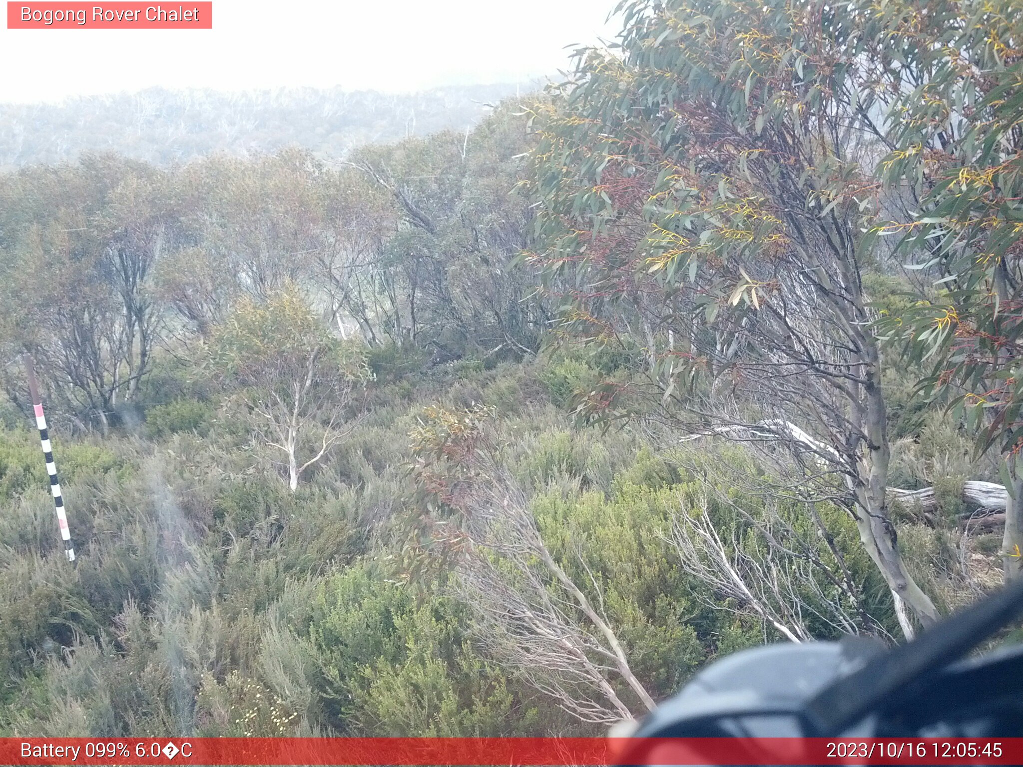 Bogong Web Cam 12:05pm Monday 16th of October 2023