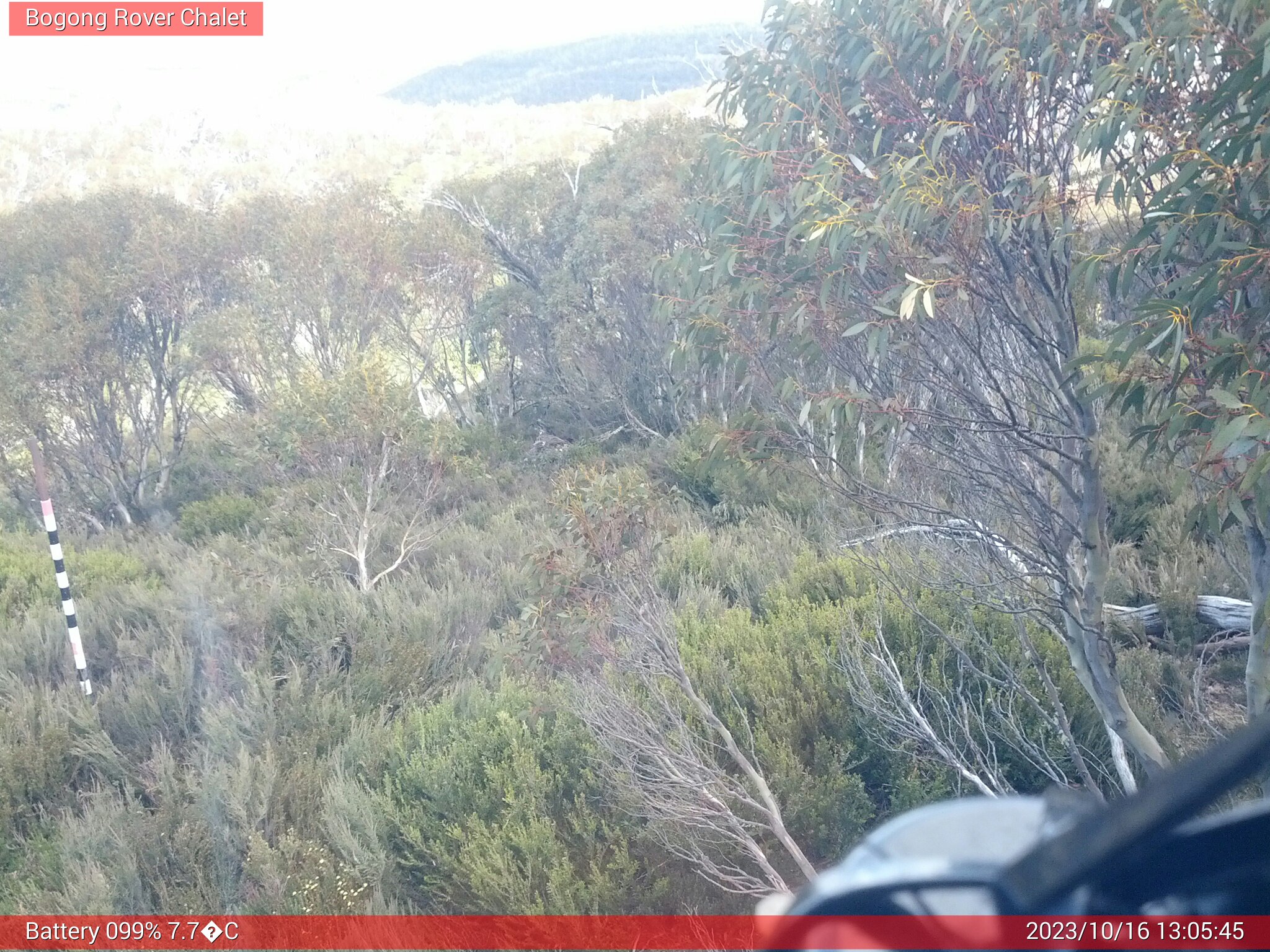 Bogong Web Cam 1:05pm Monday 16th of October 2023